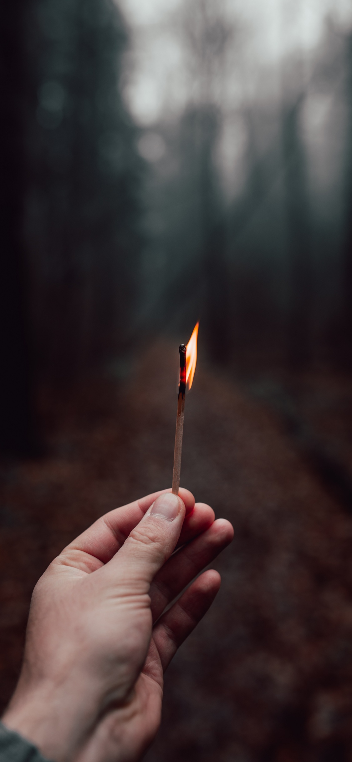 Person Mit Brennendem Streichholz Match. Wallpaper in 1125x2436 Resolution