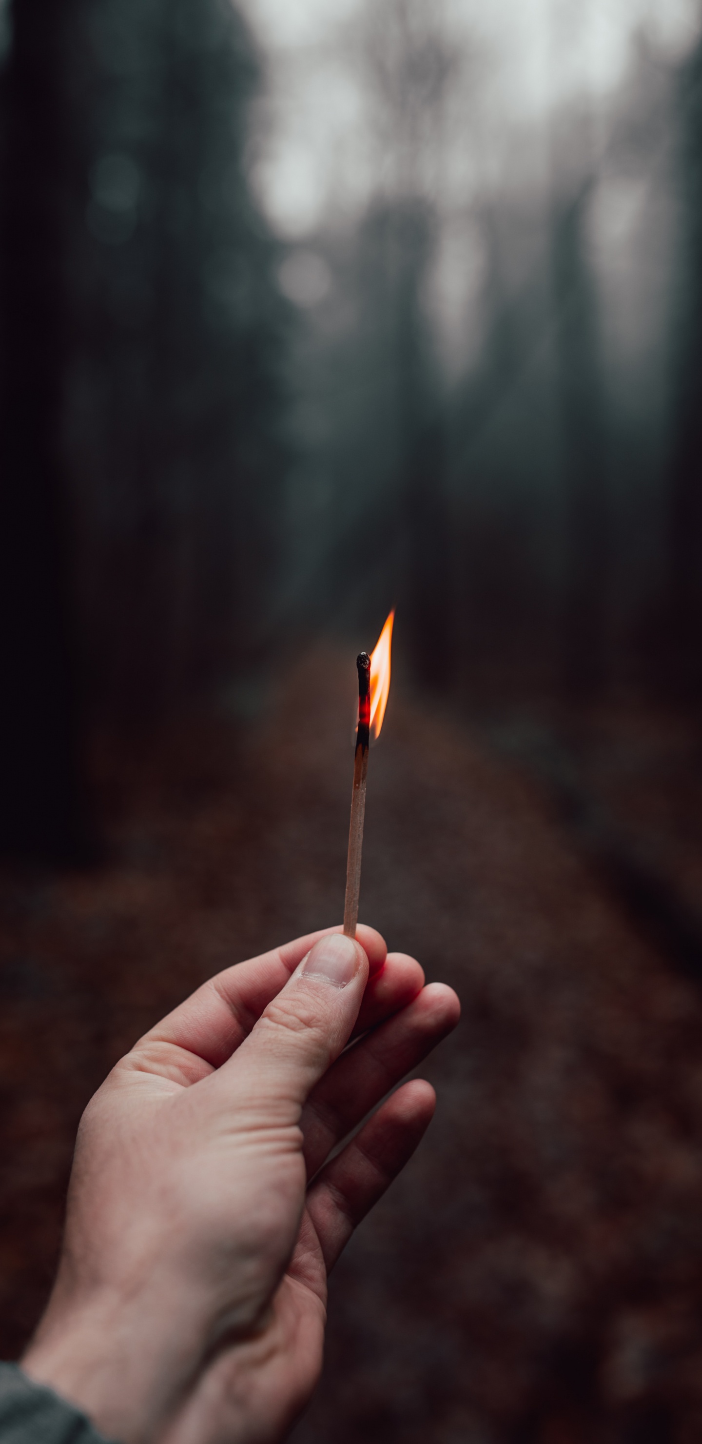 Personne Tenant Une Allumette Allumée. Wallpaper in 1440x2960 Resolution