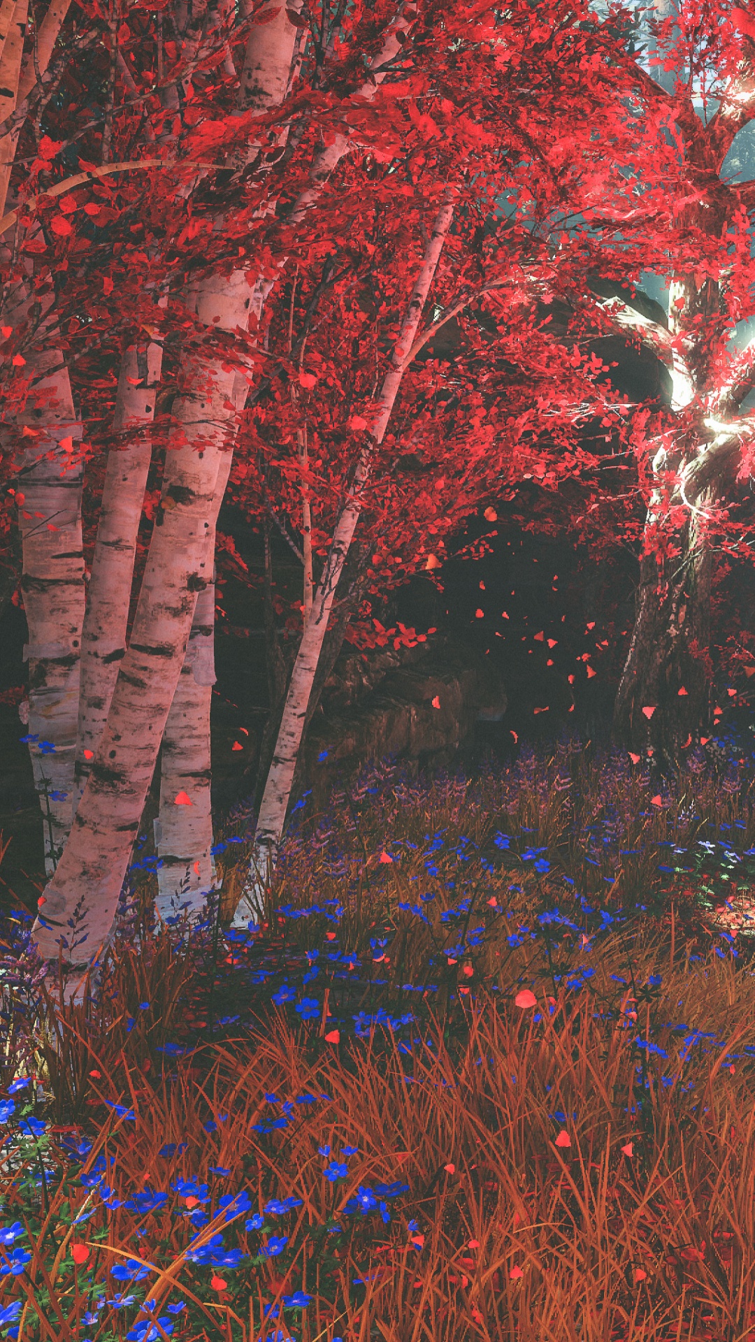 Natur, Baum, Naturlandschaft, Wald, Natürlichen Umgebung. Wallpaper in 1080x1920 Resolution