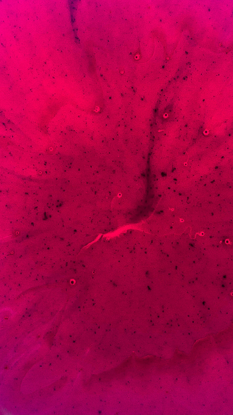 Pink and White Abstract Painting. Wallpaper in 750x1334 Resolution