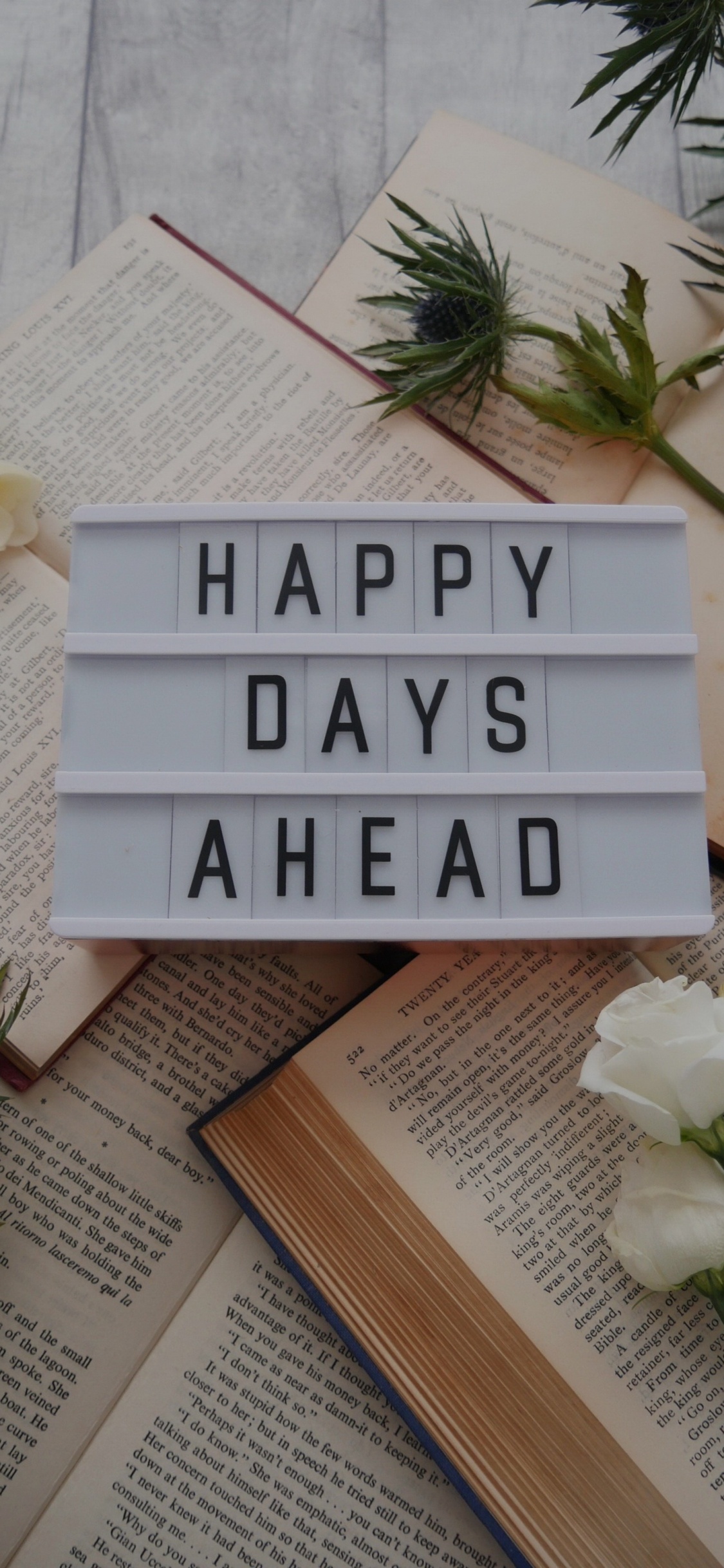 Android, Tablet, Livre, Publication, Evergreen. Wallpaper in 1125x2436 Resolution