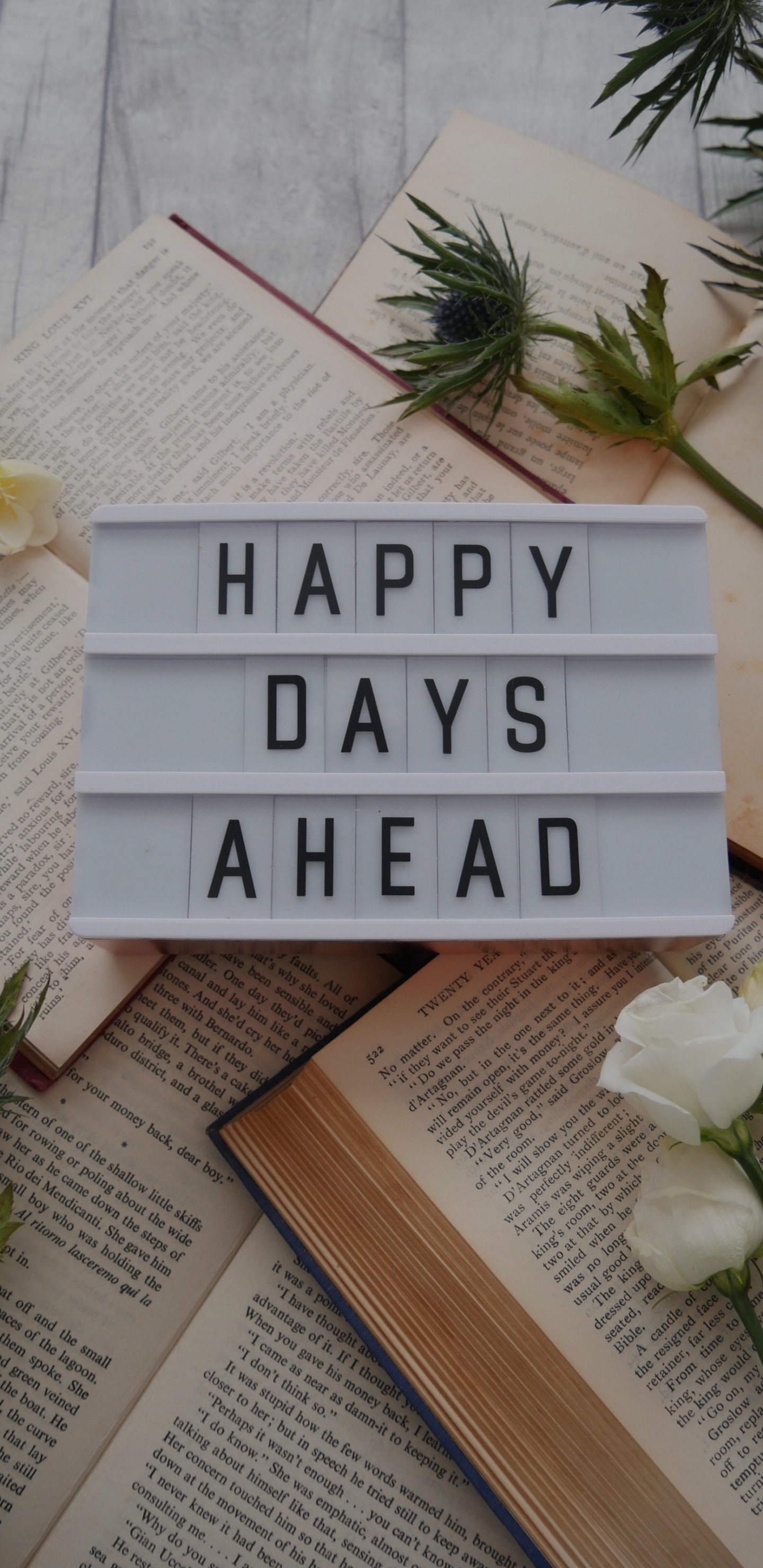 Android, Tablet, Livre, Publication, Evergreen. Wallpaper in 1440x2960 Resolution