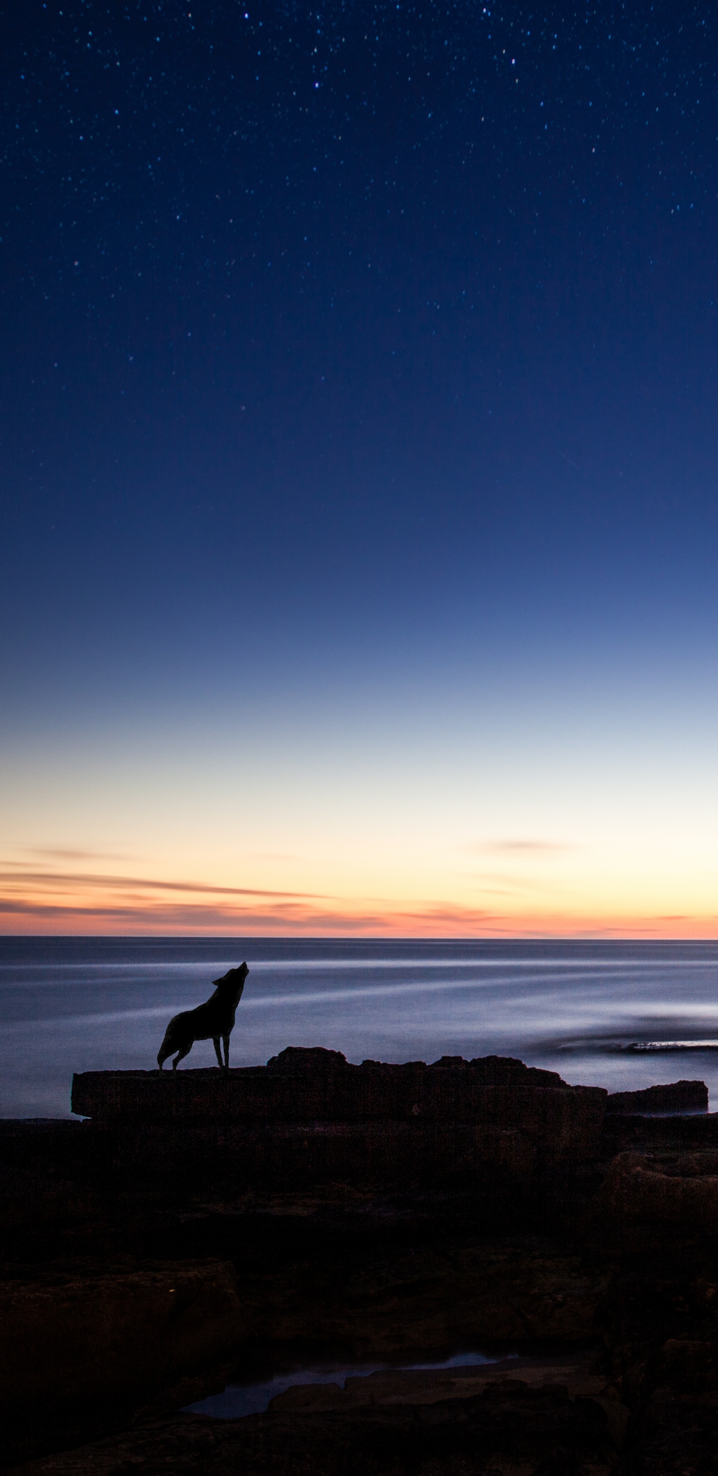 Silhouette de Personne Debout Sur Une Formation Rocheuse Près D'un Plan D'eau Pendant le Coucher du Soleil. Wallpaper in 1440x2960 Resolution
