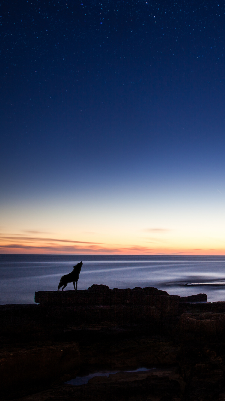 Silhouette de Personne Debout Sur Une Formation Rocheuse Près D'un Plan D'eau Pendant le Coucher du Soleil. Wallpaper in 750x1334 Resolution
