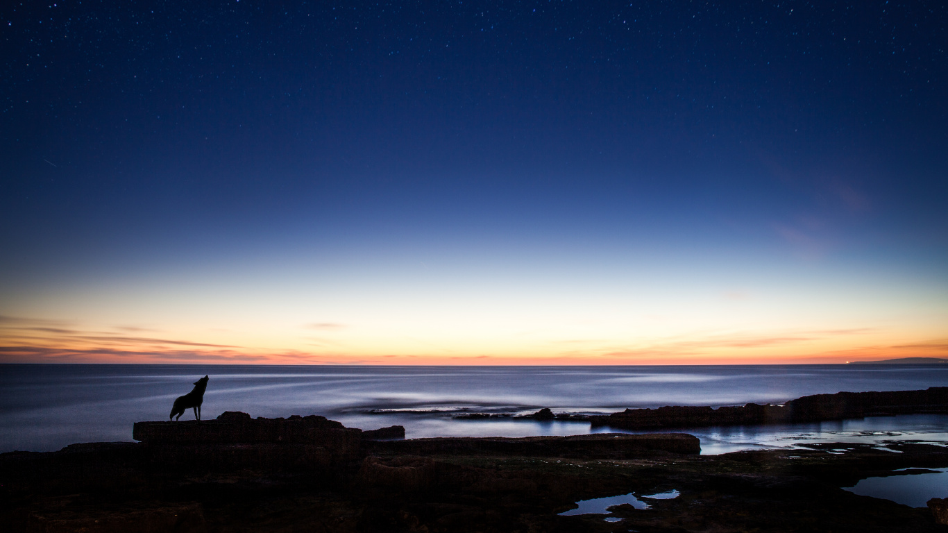 Silueta de Persona de Pie Sobre la Formación Rocosa Cerca Del Cuerpo de Agua Durante la Puesta de Sol. Wallpaper in 1366x768 Resolution
