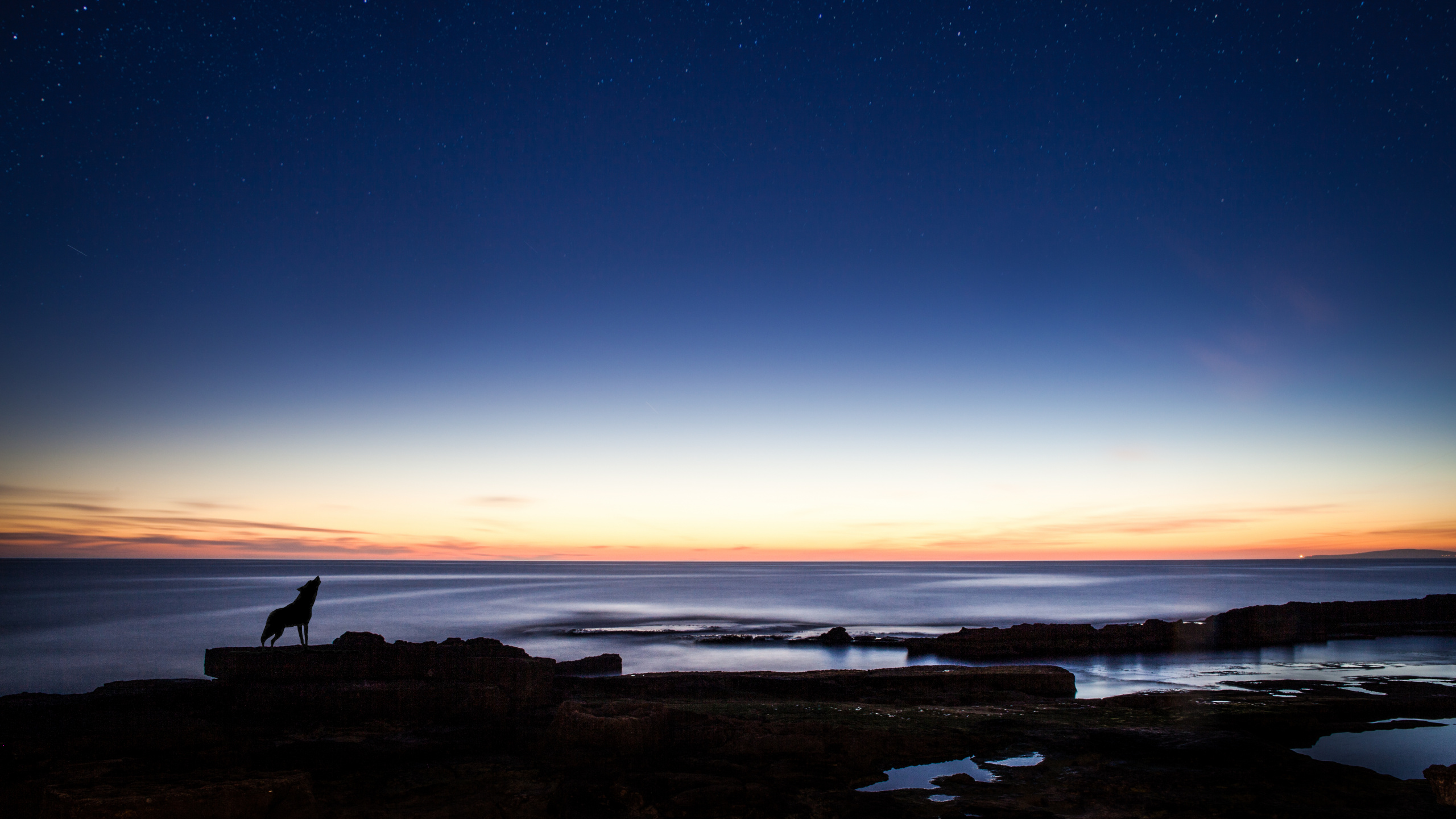 Silueta de Persona de Pie Sobre la Formación Rocosa Cerca Del Cuerpo de Agua Durante la Puesta de Sol. Wallpaper in 2560x1440 Resolution