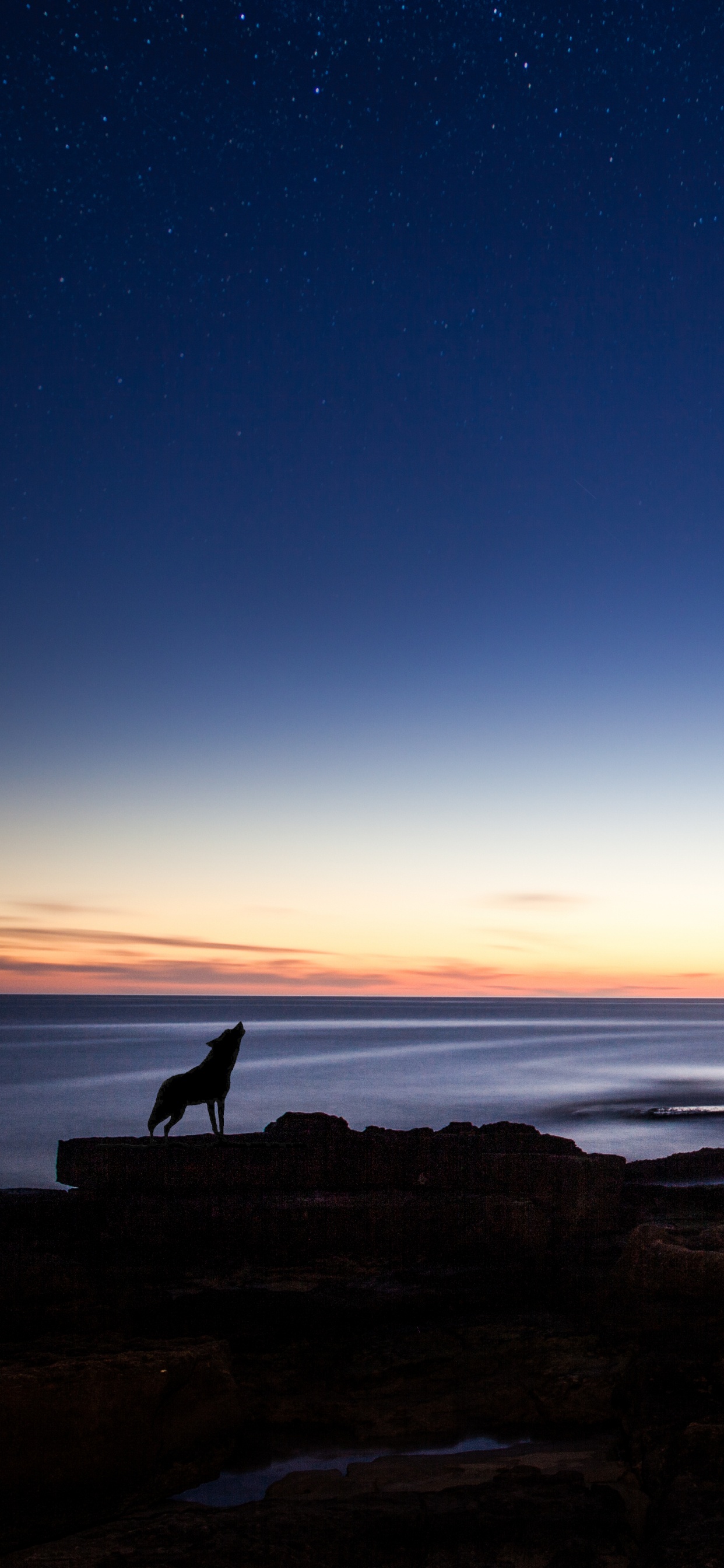 Silhouette of Person Standing on Rock Formation Near Body of Water During Sunset. Wallpaper in 1242x2688 Resolution