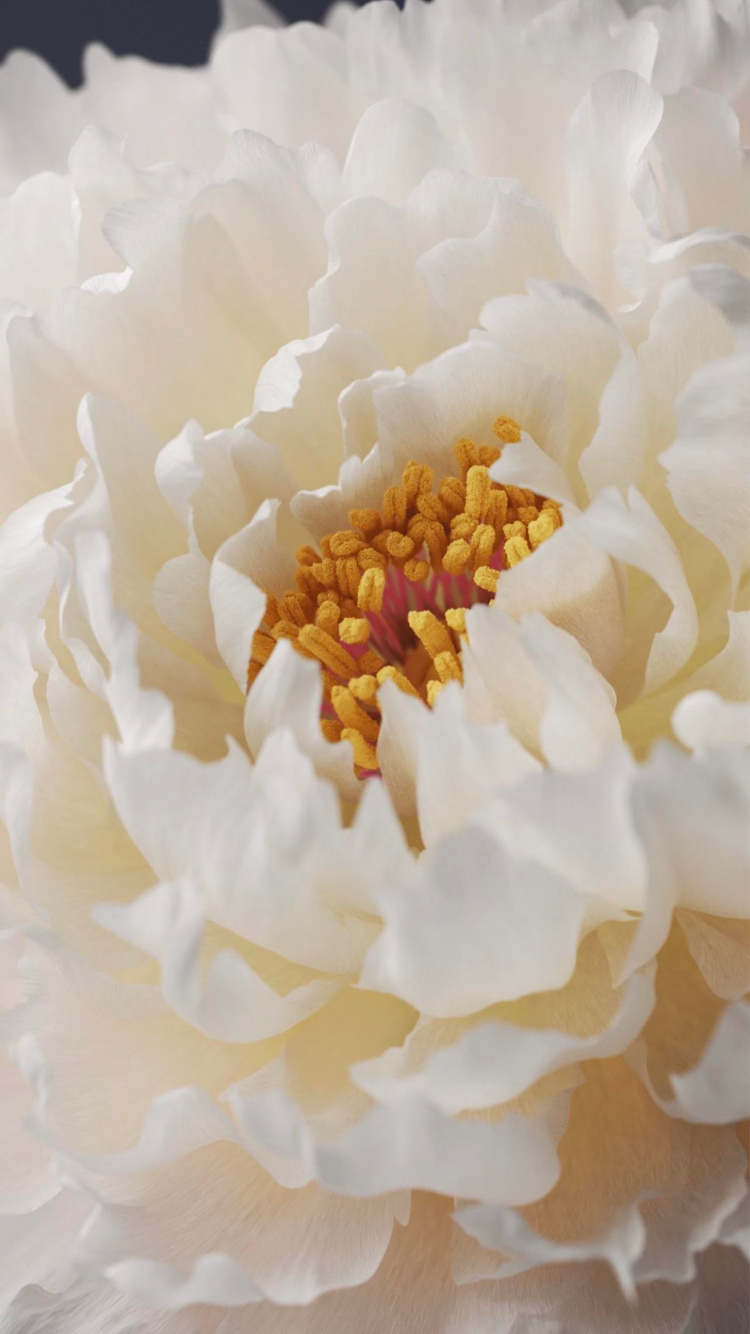 Alive, Vivo X60 Pro, Vivo X70 Pro, Smartphone, Origin Os. Wallpaper in 750x1334 Resolution