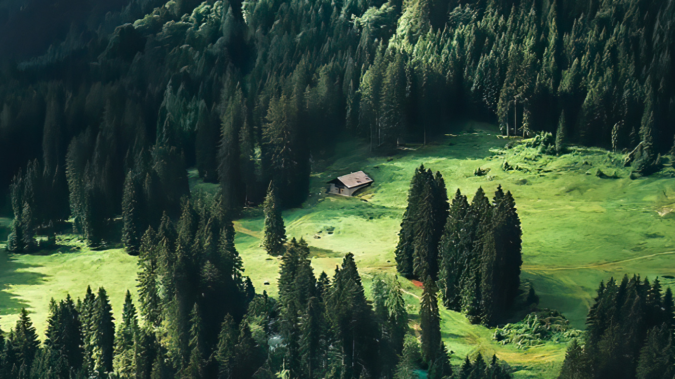 Mount Scenery, Spruce, Larch, Fir, Old Growth Forest. Wallpaper in 1366x768 Resolution