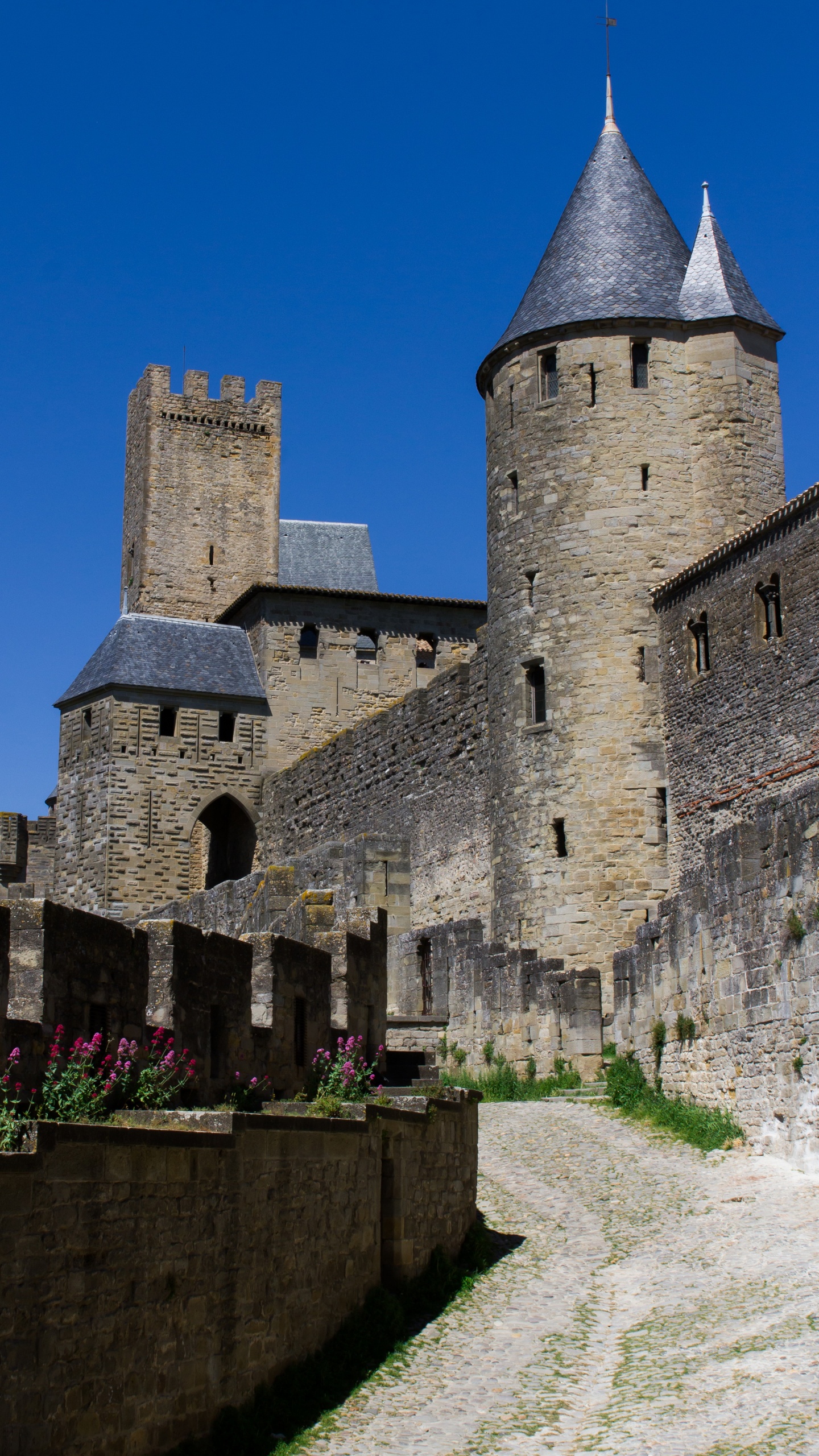 Grey Concrete Castle Under Blue Sky During Daytime. Wallpaper in 1440x2560 Resolution