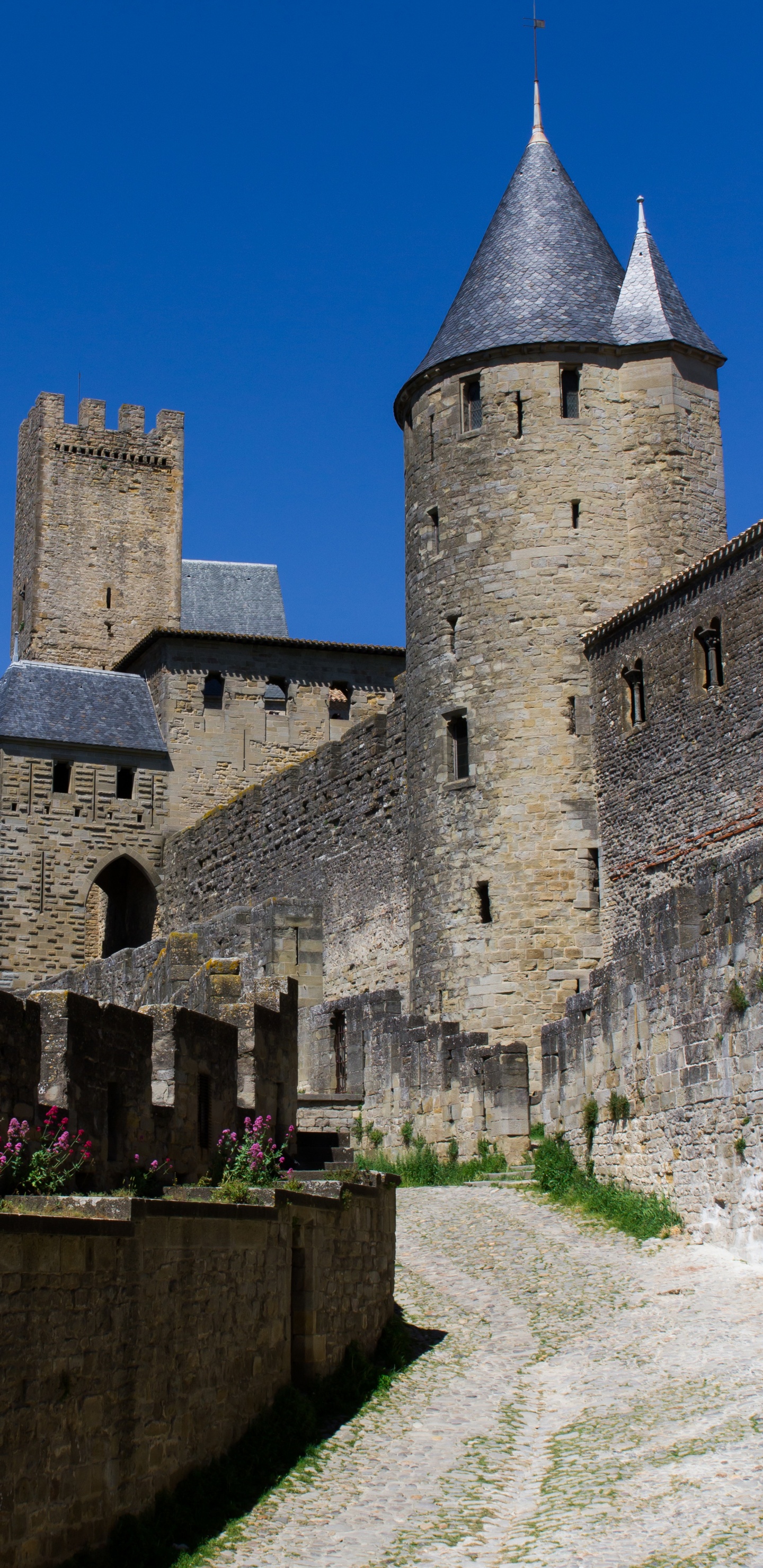 Grey Concrete Castle Under Blue Sky During Daytime. Wallpaper in 1440x2960 Resolution