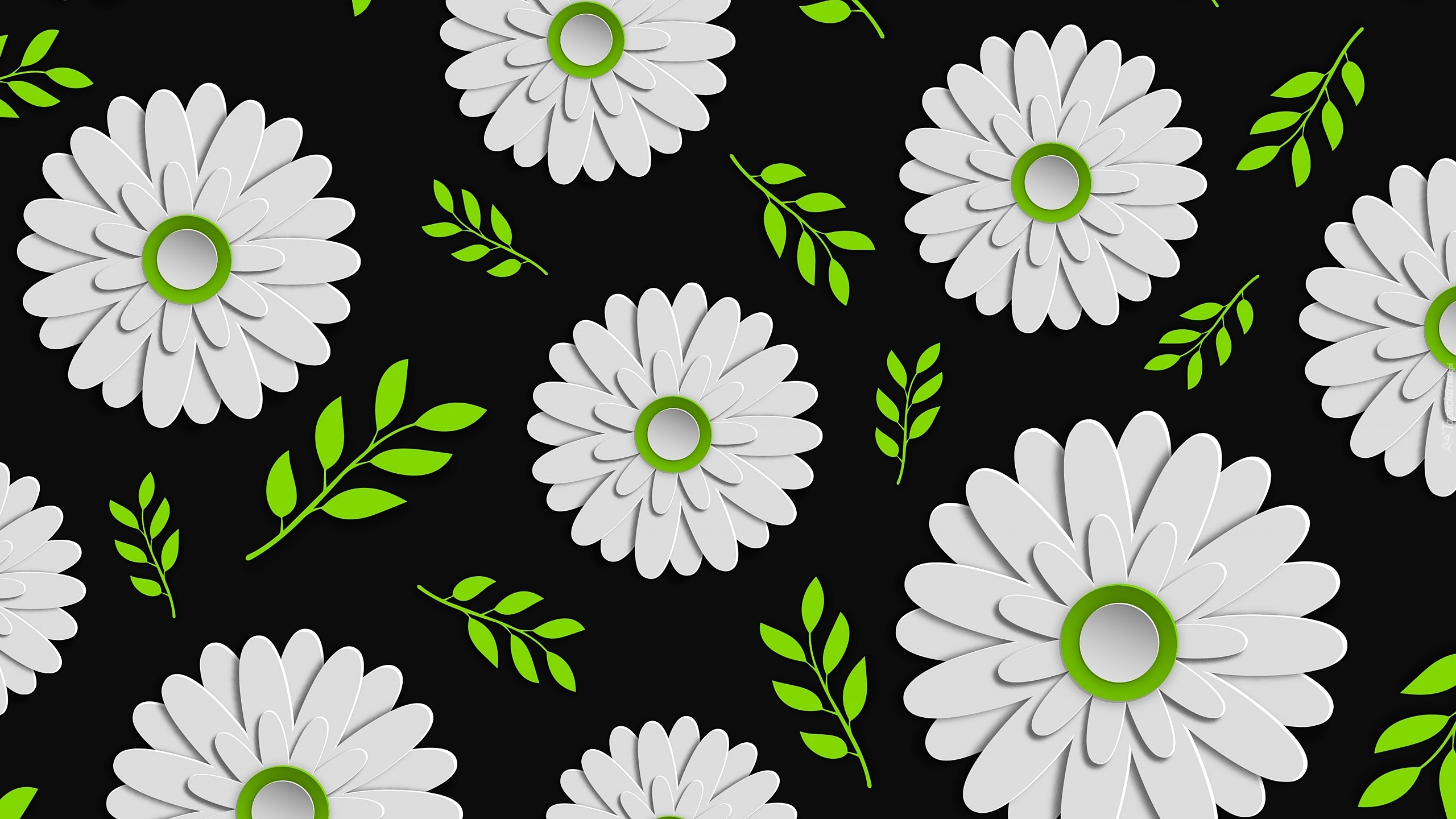 White and Black Flower Illustration. Wallpaper in 2560x1440 Resolution