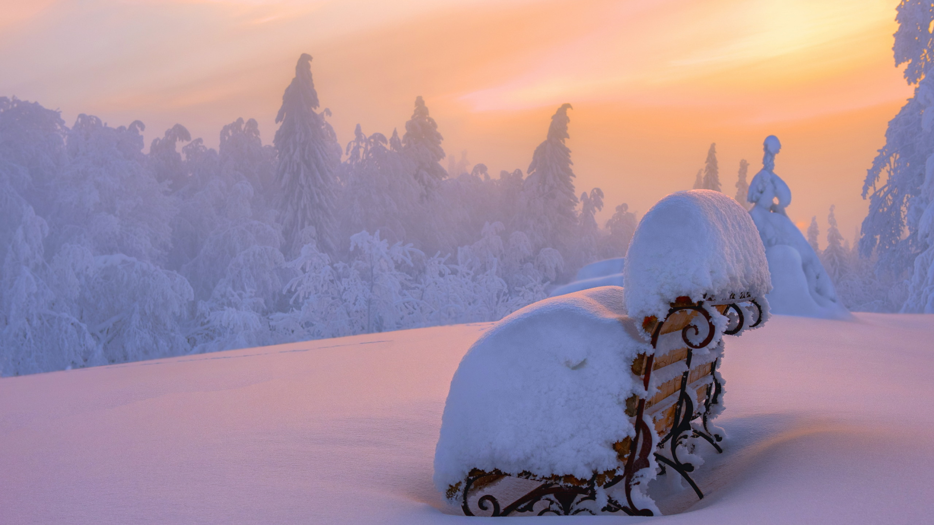 Schneebedeckte Kiefer Mit Schneebedecktem Berg in Der Ferne. Wallpaper in 1920x1080 Resolution