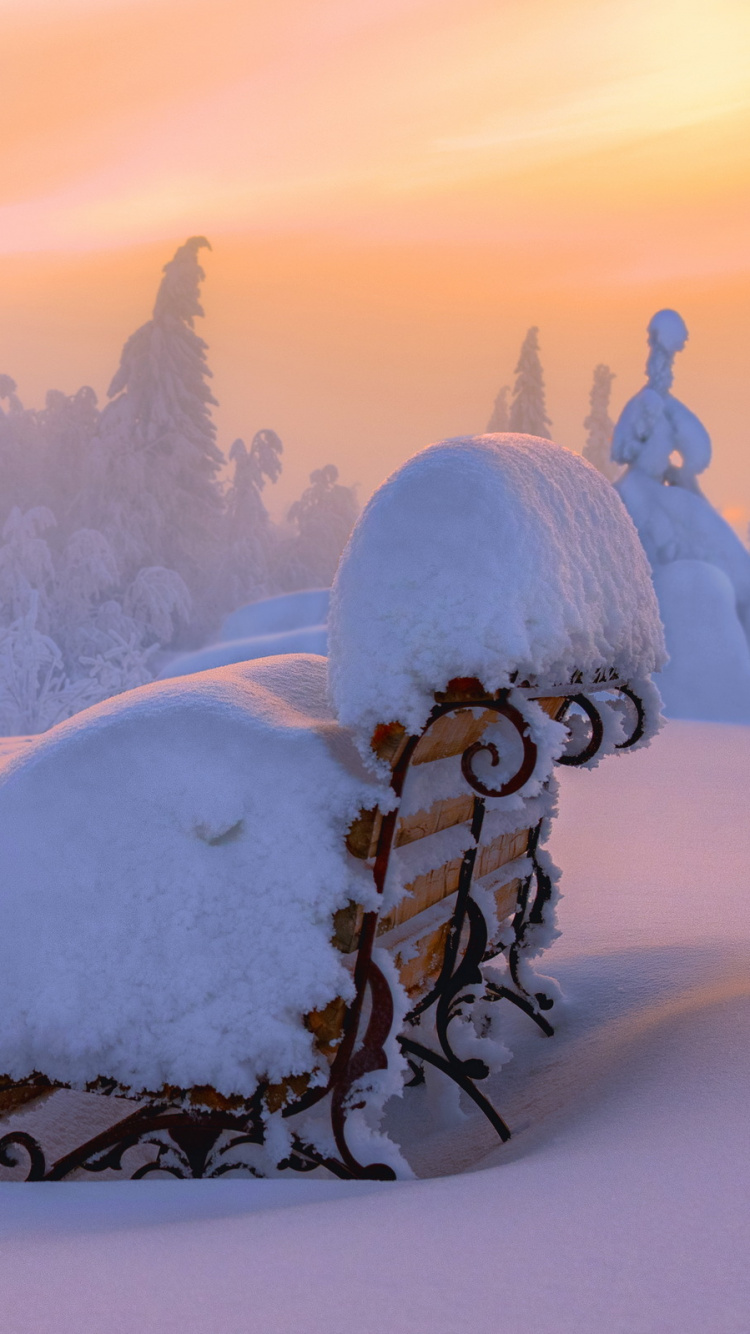 Snow Covered Pine Tree With Snow Covered Mountain in Distance. Wallpaper in 750x1334 Resolution