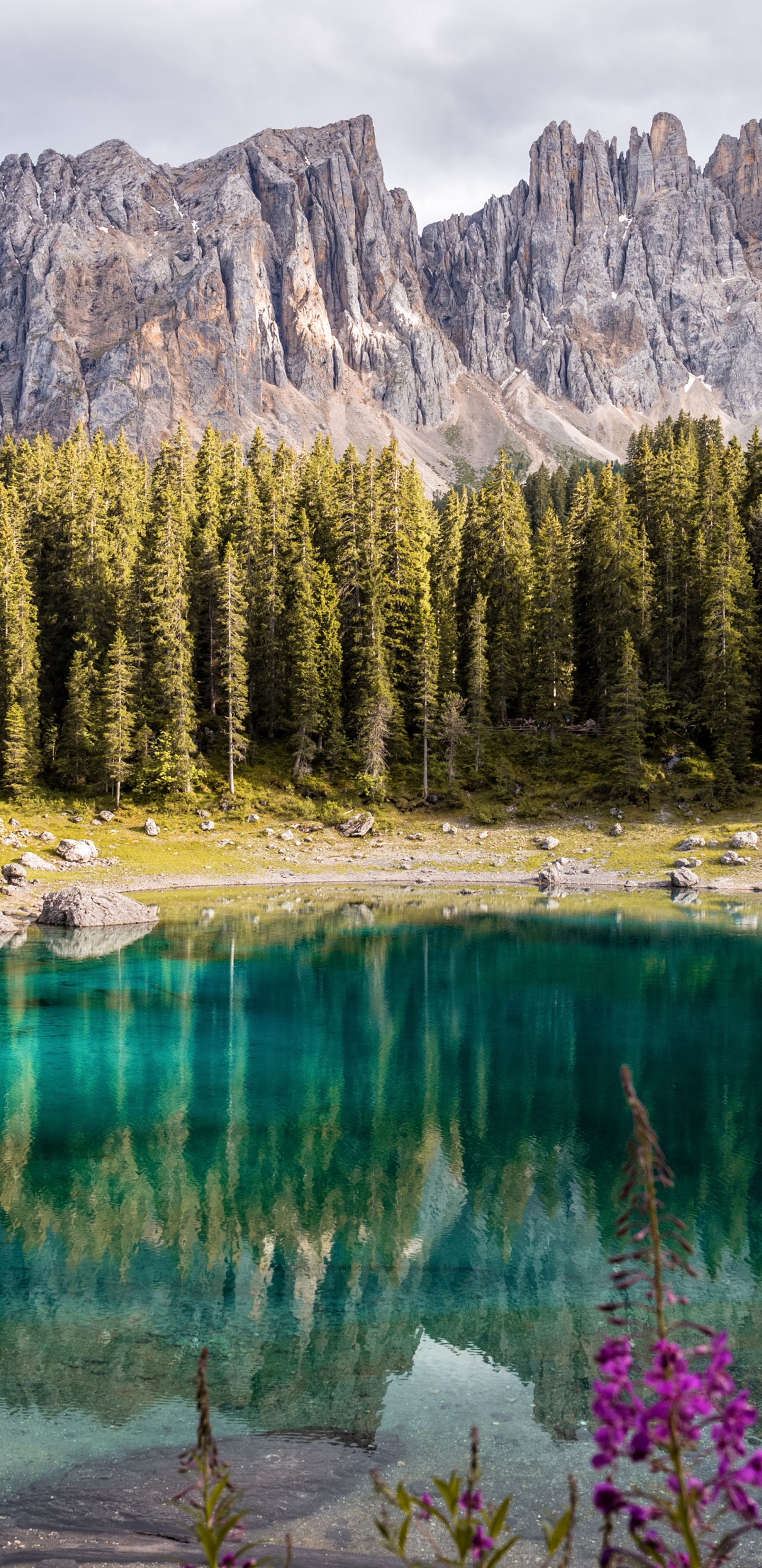 Paisaje Natural, Naturaleza, Montaña, Las Formaciones Montañosas, Desierto. Wallpaper in 1440x2960 Resolution