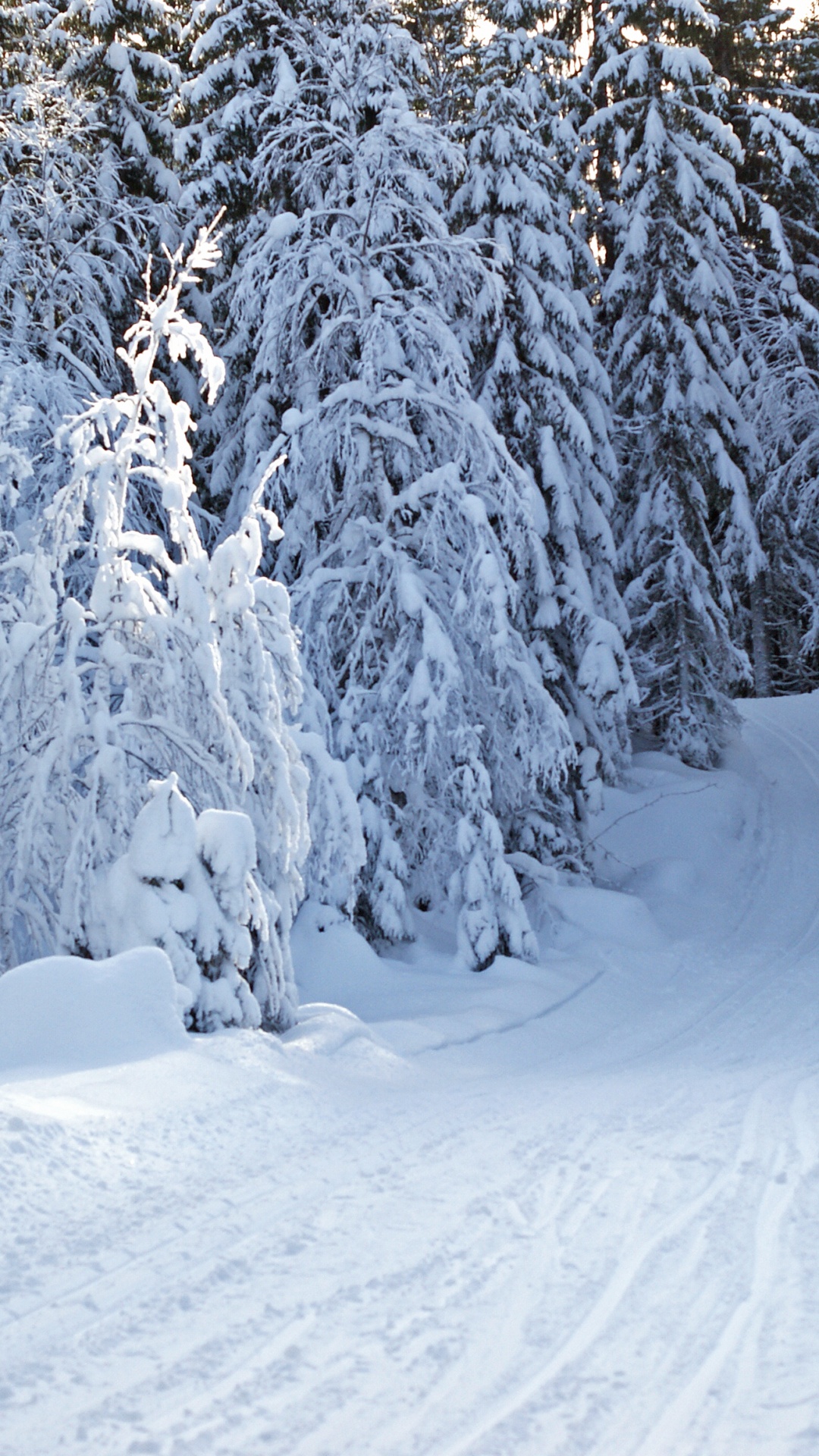 Snow Covered Trees During Daytime. Wallpaper in 1080x1920 Resolution