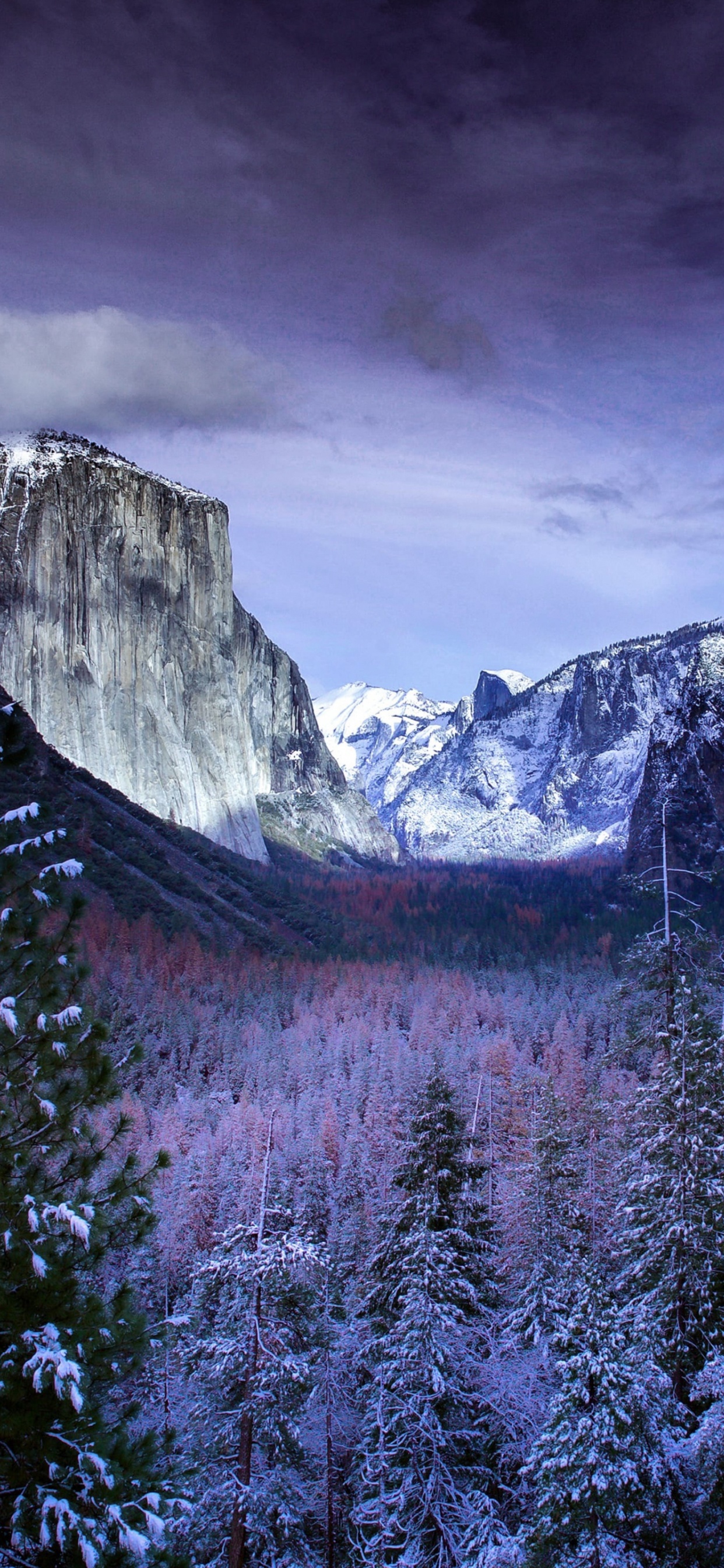 Yosemite National Park, Macbook Air, Äpfeln, Natur, Bergigen Landschaftsformen. Wallpaper in 1242x2688 Resolution