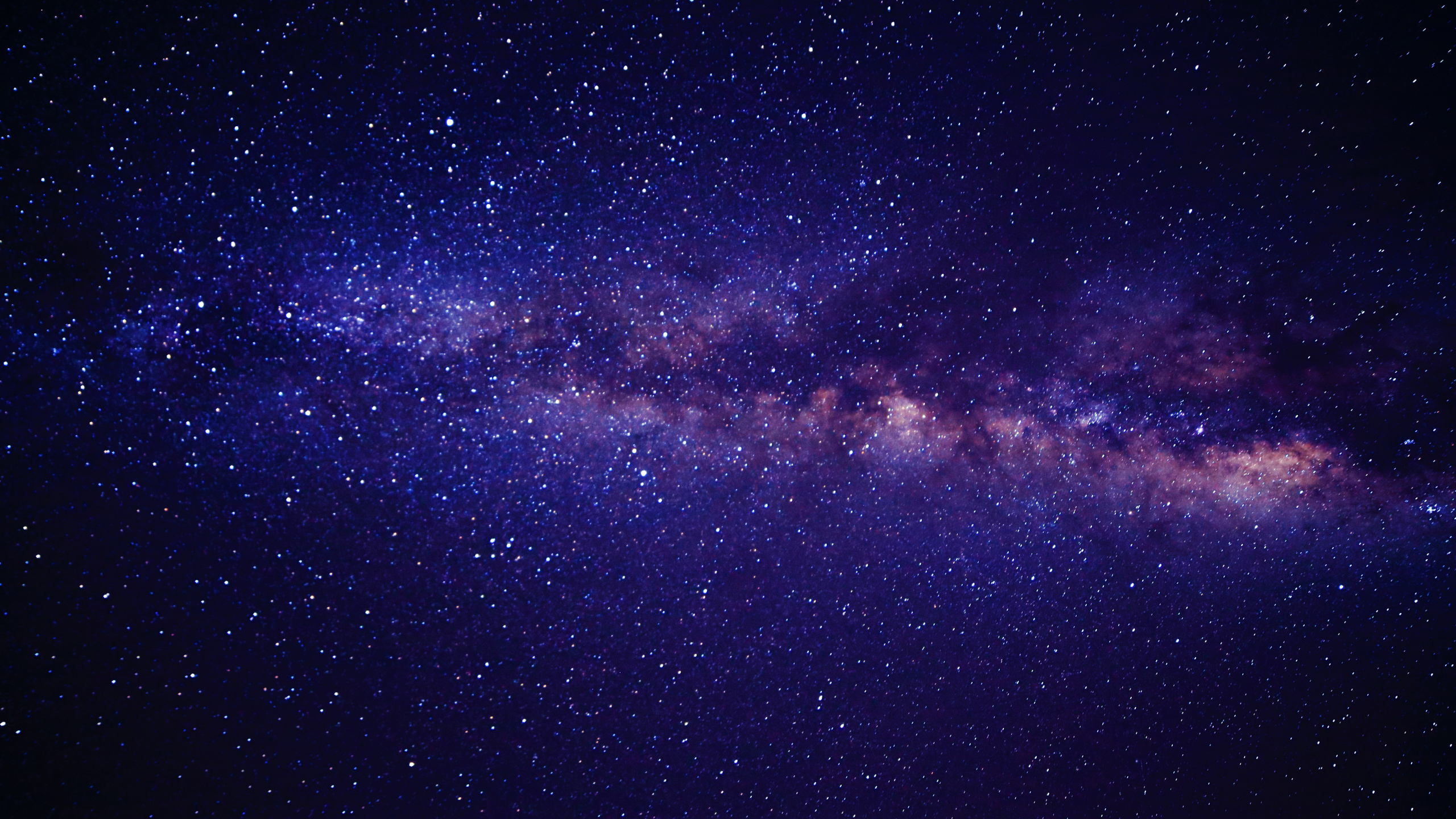 Lila Und Schwarze Sternennacht. Wallpaper in 2560x1440 Resolution