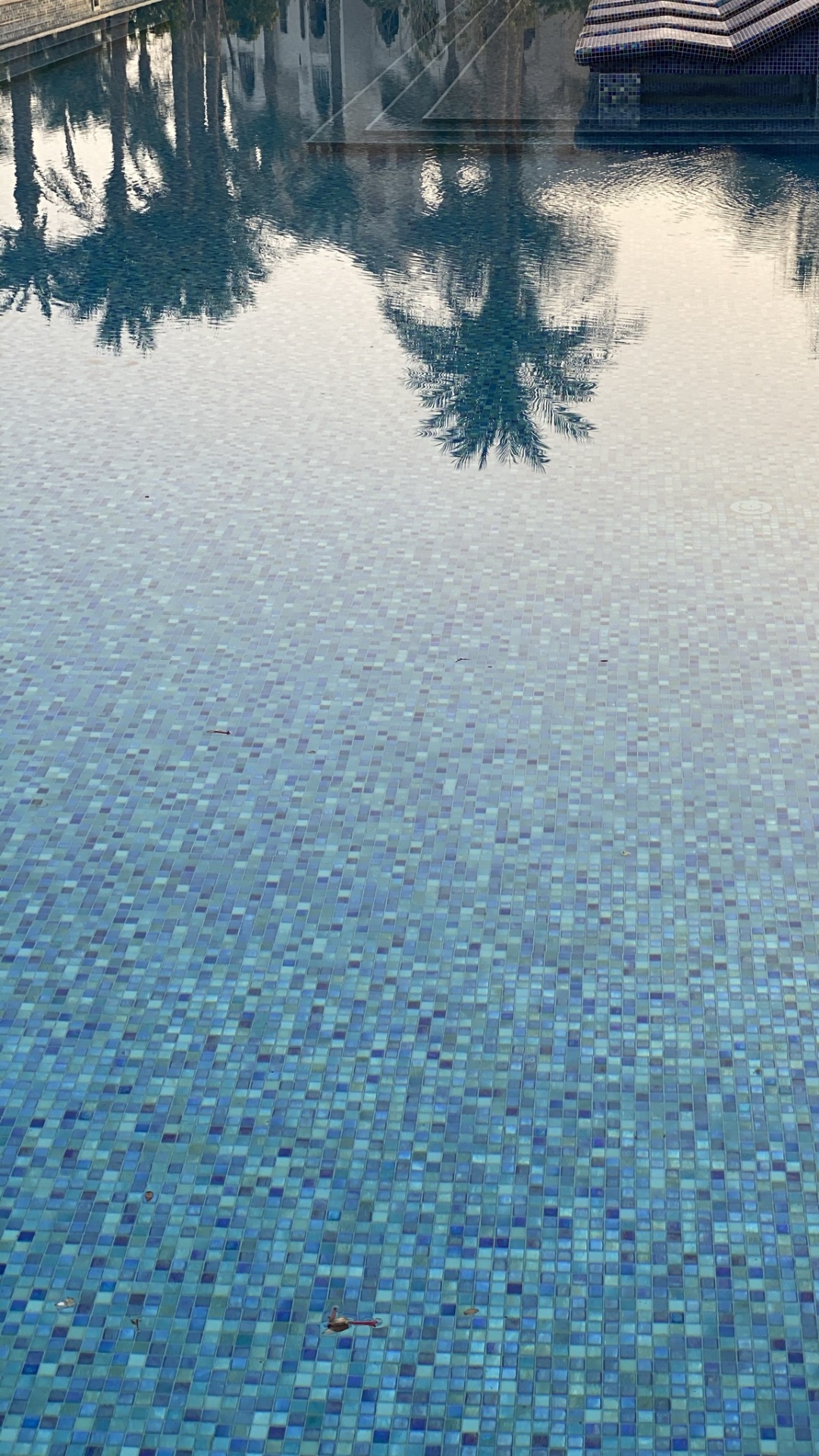 Reflection, Water Resources, Wetland, Water, World. Wallpaper in 1080x1920 Resolution