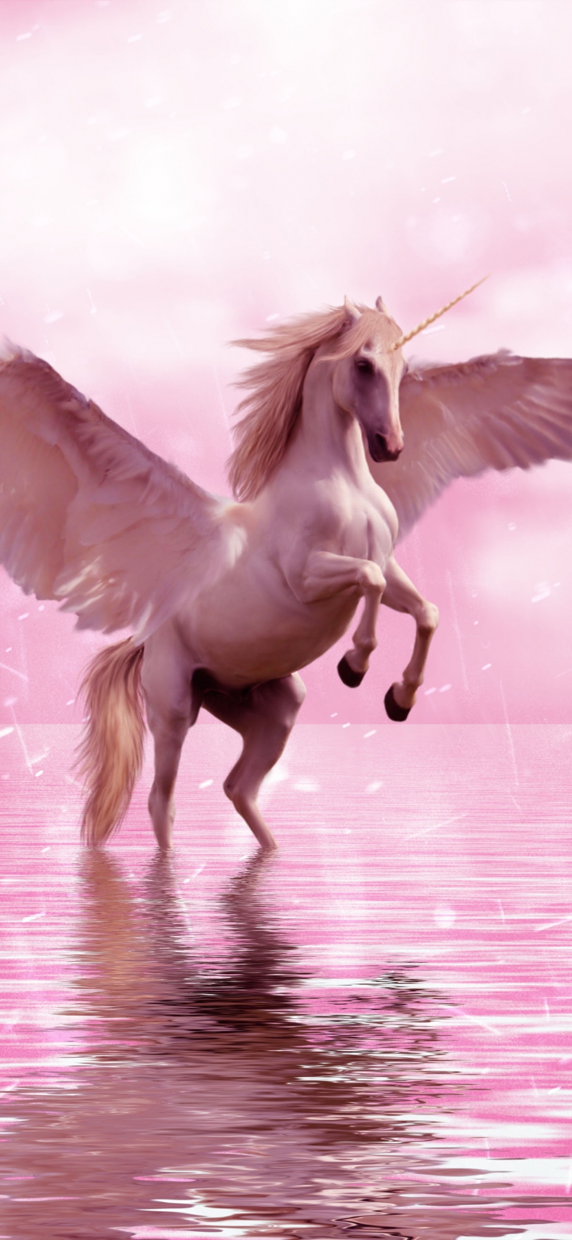 Unicornio, Pegasus, Ala, Rosa, Criatura Mítica. Wallpaper in 1125x2436 Resolution