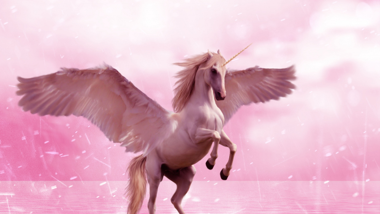 Unicornio, Pegasus, Ala, Rosa, Criatura Mítica. Wallpaper in 1280x720 Resolution
