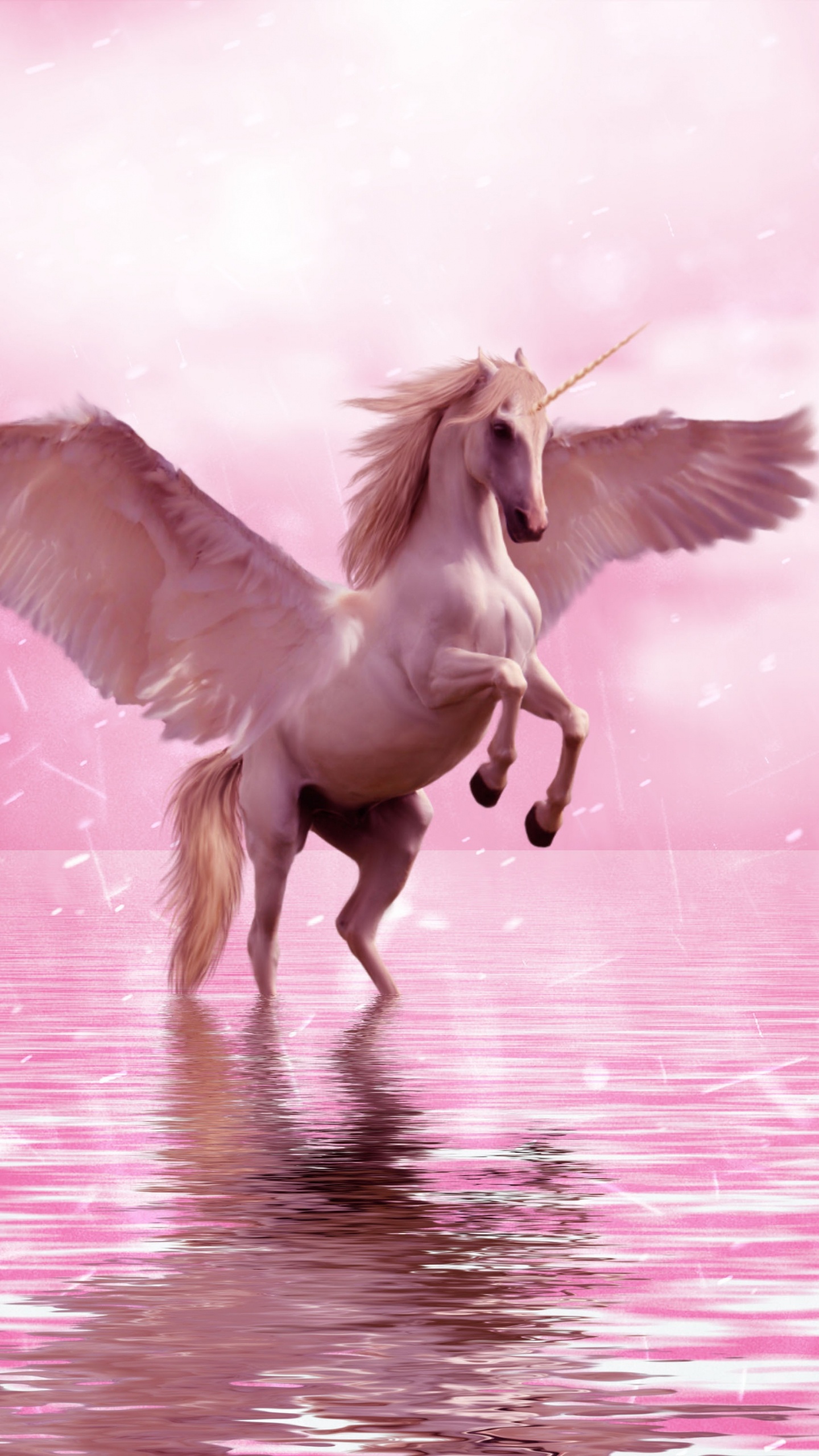 Unicornio, Pegasus, Ala, Rosa, Criatura Mítica. Wallpaper in 1440x2560 Resolution