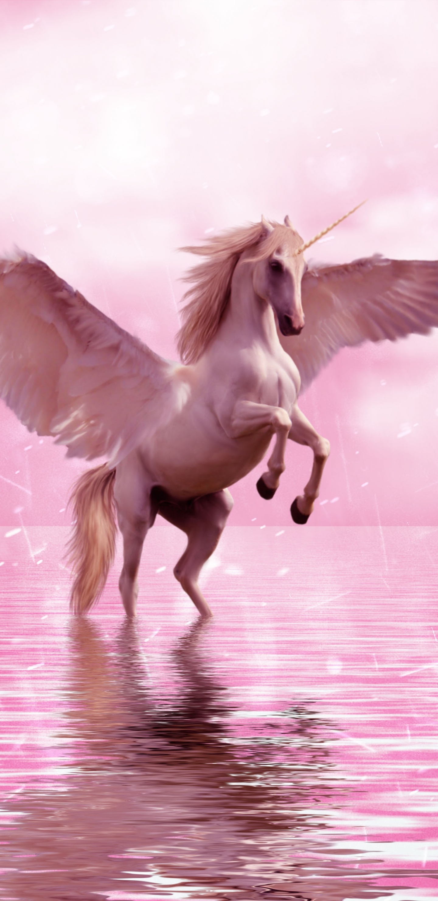 Unicornio, Pegasus, Ala, Rosa, Criatura Mítica. Wallpaper in 1440x2960 Resolution