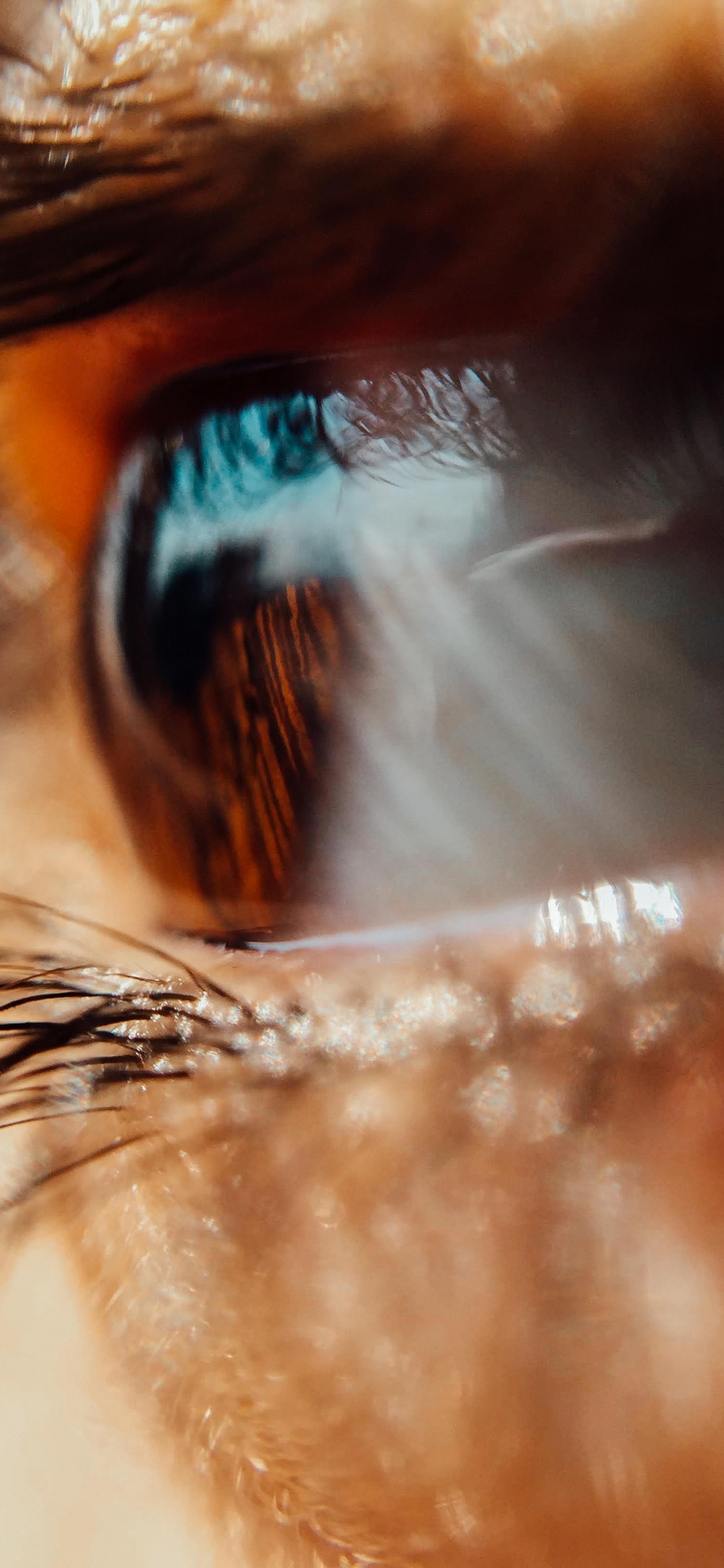 Personne Aux Yeux Bleus en Photographie Rapprochée. Wallpaper in 1242x2688 Resolution