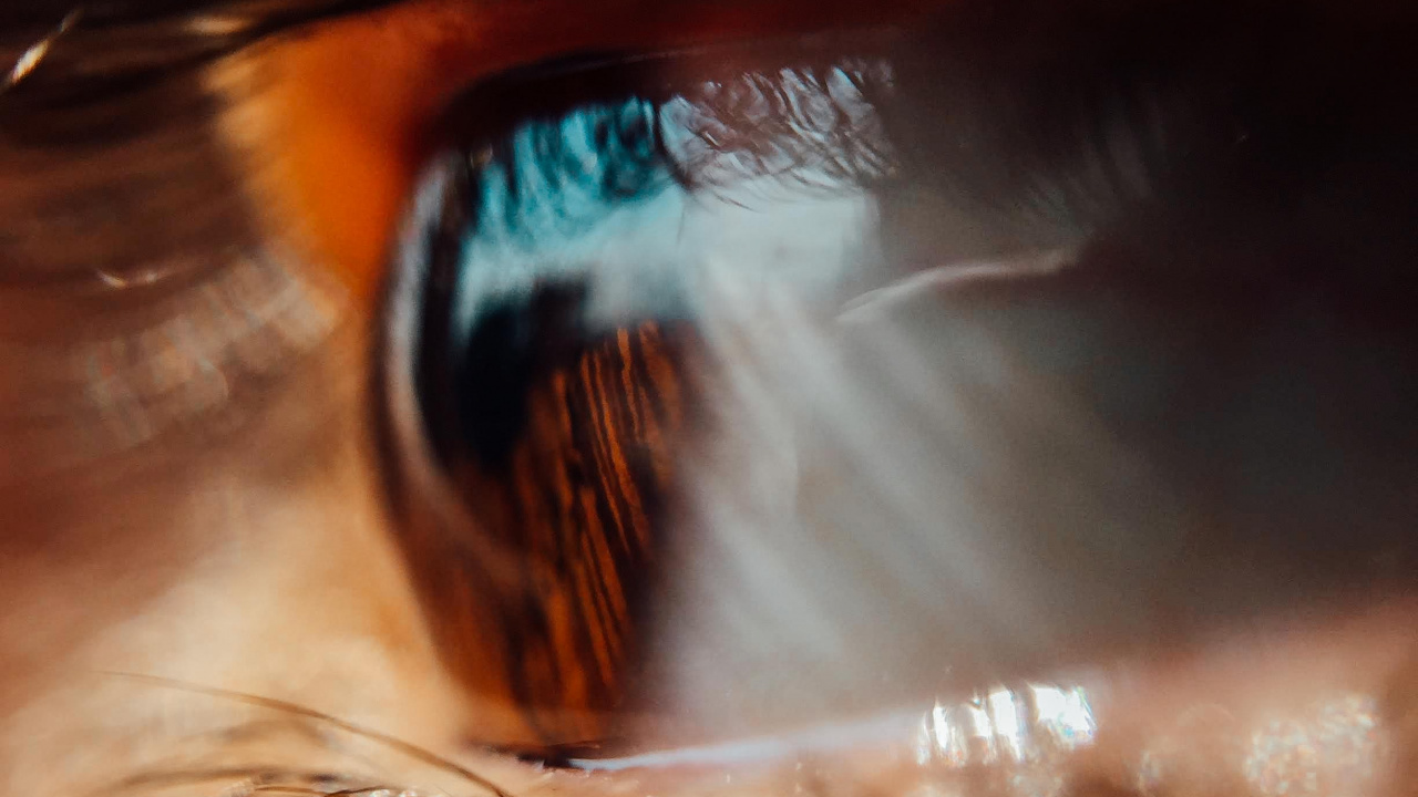 Personne Aux Yeux Bleus en Photographie Rapprochée. Wallpaper in 1280x720 Resolution