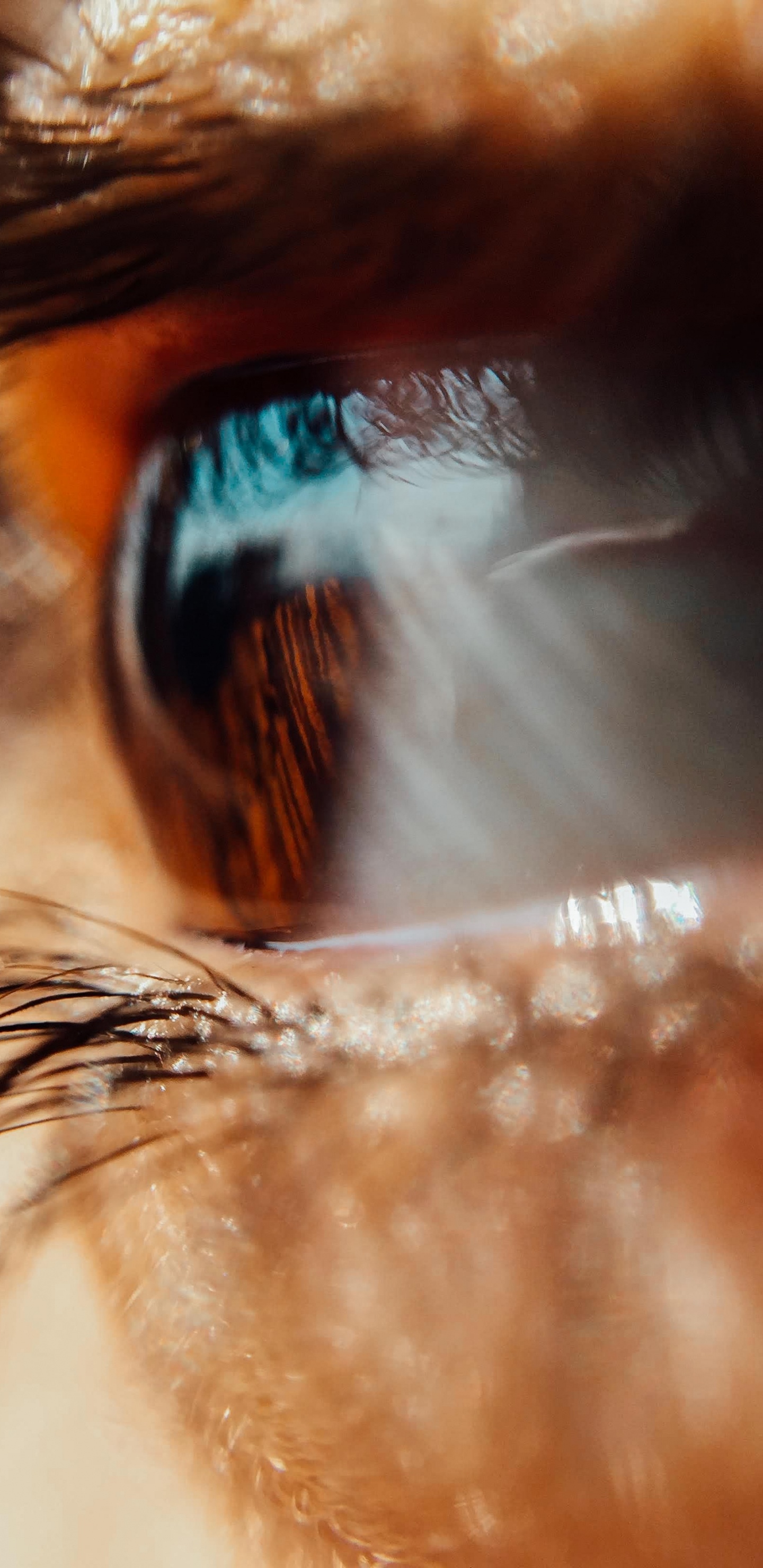 Personne Aux Yeux Bleus en Photographie Rapprochée. Wallpaper in 1440x2960 Resolution