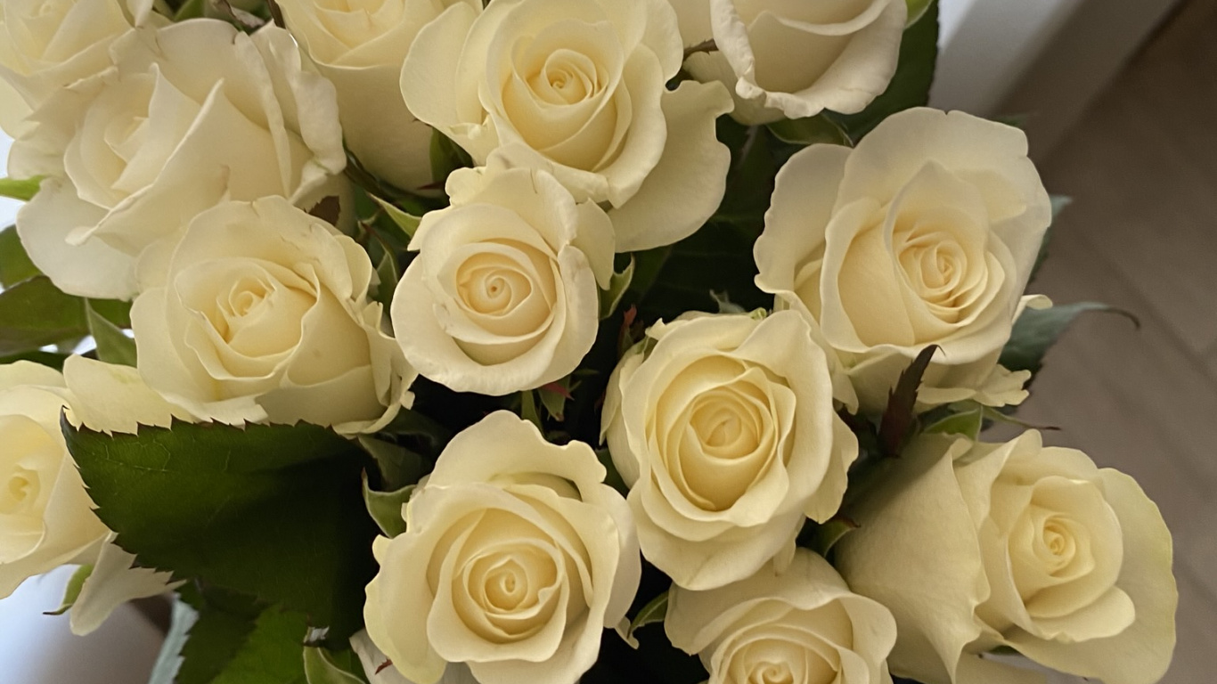 Bouquet de Fleurs, Design Floral, Les Roses de Jardin, Les Fleurs Coupées, Fleurs Artificielles. Wallpaper in 1366x768 Resolution