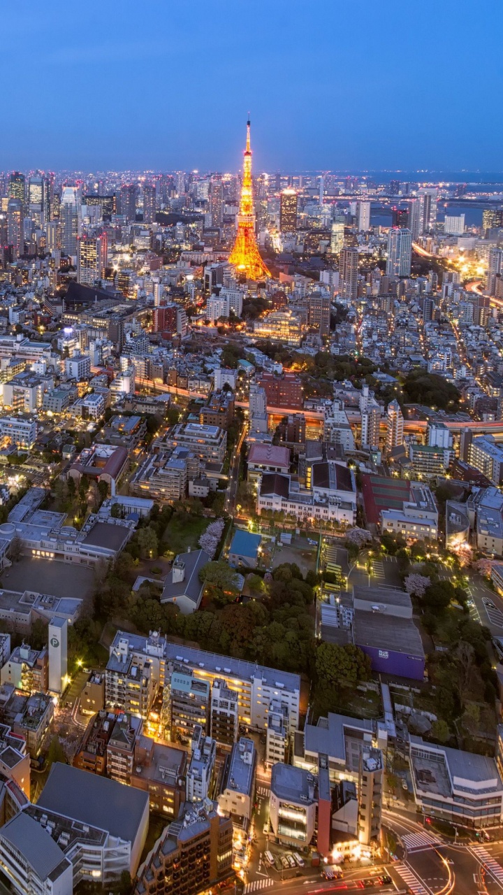 Vue Aérienne Des Bâtiments de la Ville Pendant la Nuit. Wallpaper in 720x1280 Resolution