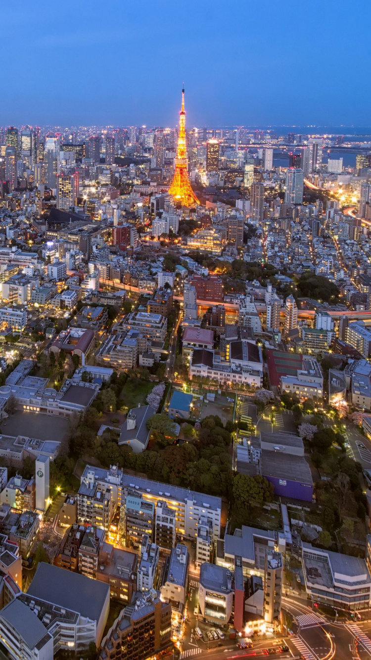 Vue Aérienne Des Bâtiments de la Ville Pendant la Nuit. Wallpaper in 750x1334 Resolution