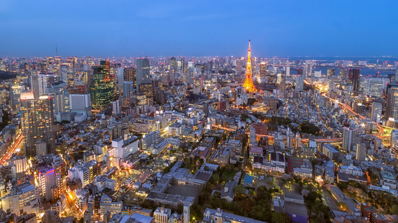 Aerial View of City Buildings During Night Time. Wallpaper in 1366x768 Resolution