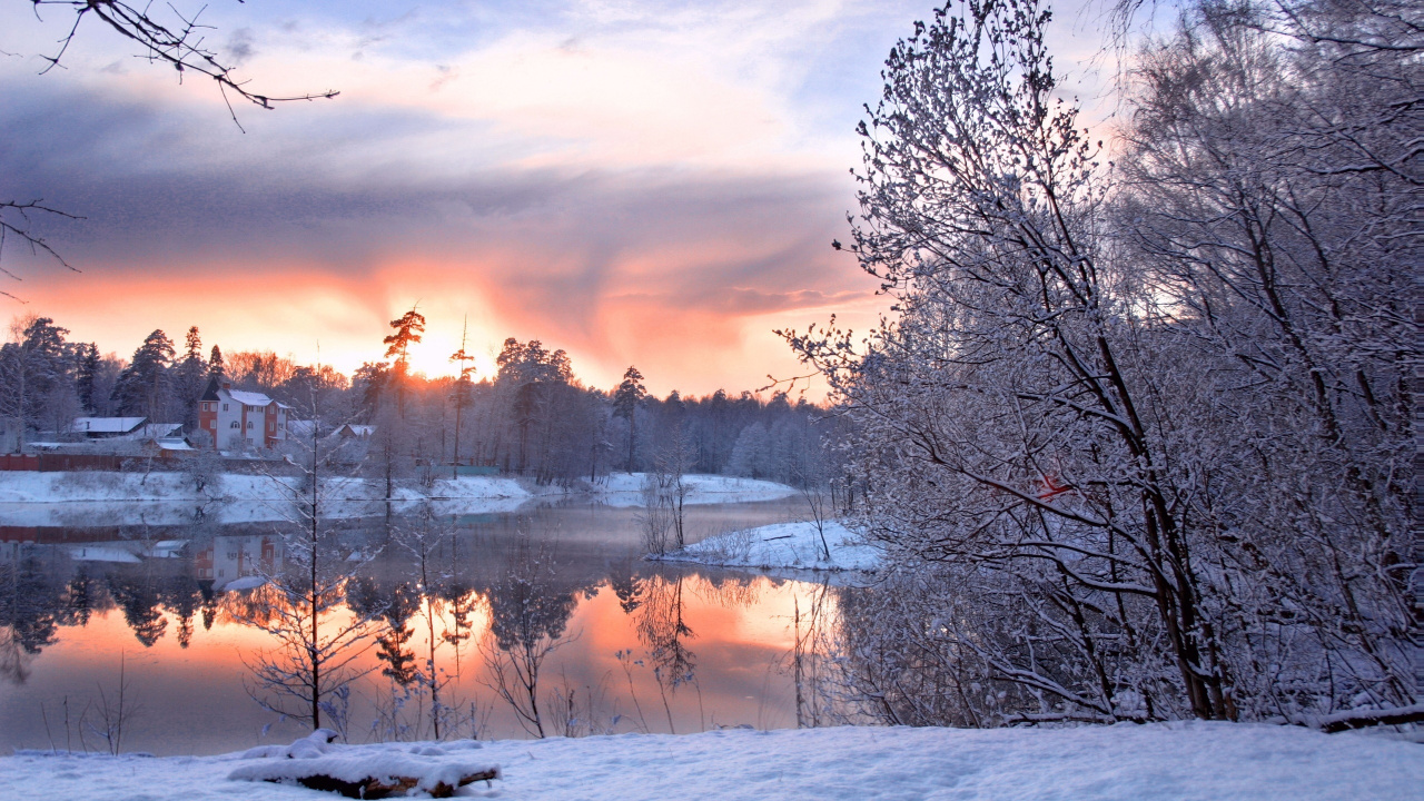 Schneebedeckte Bäume Und Felder Bei Sonnenuntergang. Wallpaper in 1280x720 Resolution