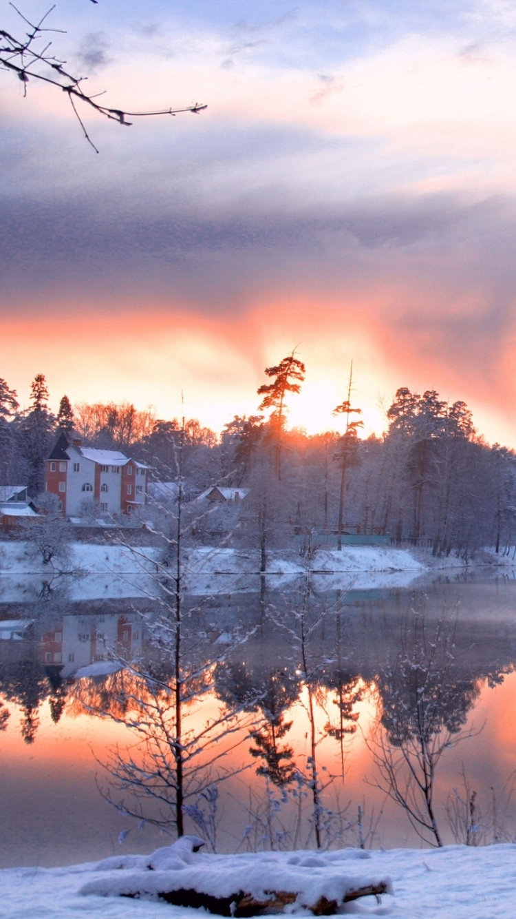 Schneebedeckte Bäume Und Felder Bei Sonnenuntergang. Wallpaper in 750x1334 Resolution