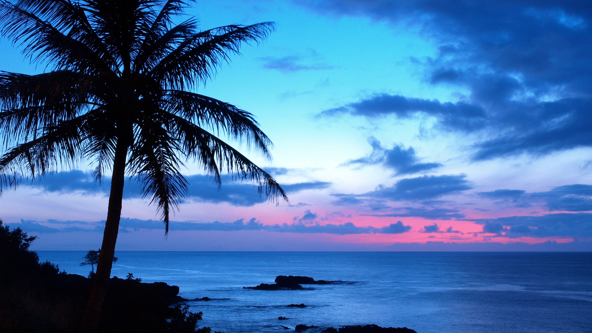 Palm Tree Near Body of Water During Sunset. Wallpaper in 1920x1080 Resolution