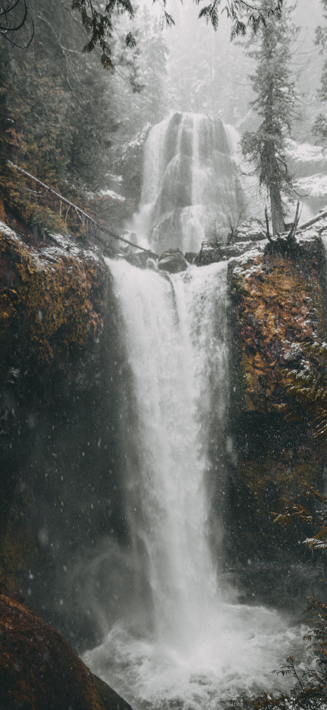 Water, Tree, Body of Water, Chute, Nature. Wallpaper in 1125x2436 Resolution