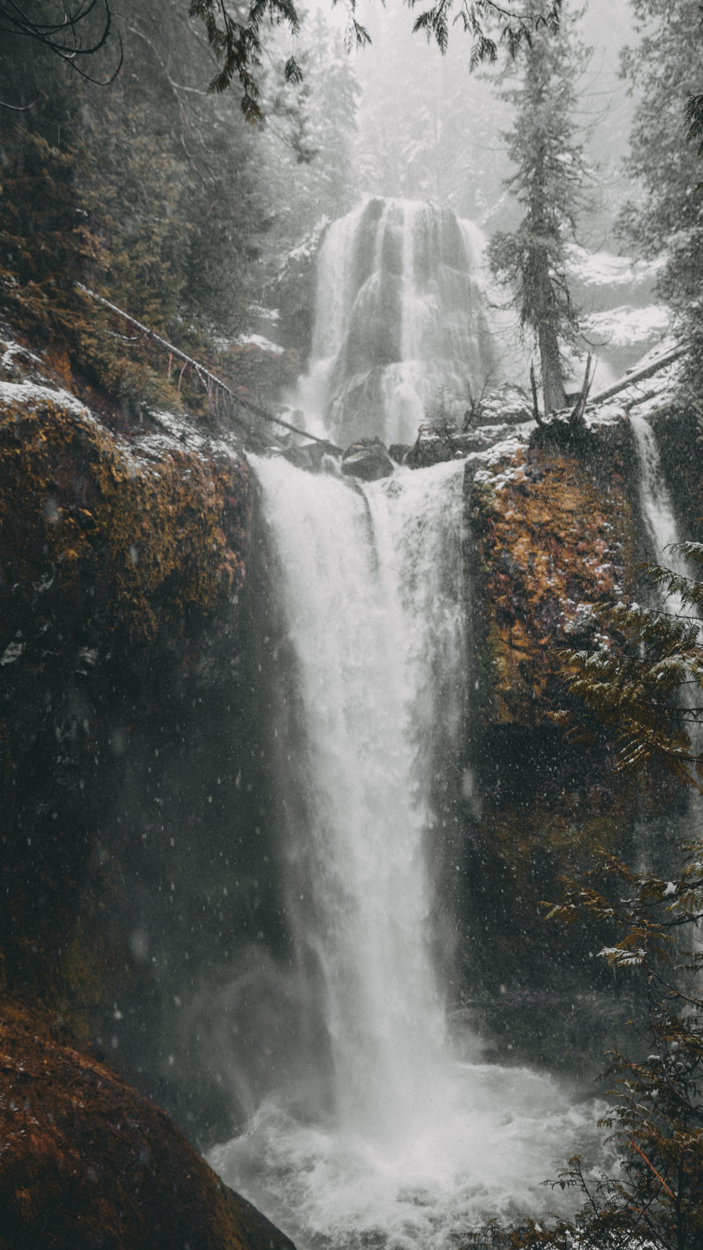 Water, Tree, Body of Water, Chute, Nature. Wallpaper in 1440x2560 Resolution