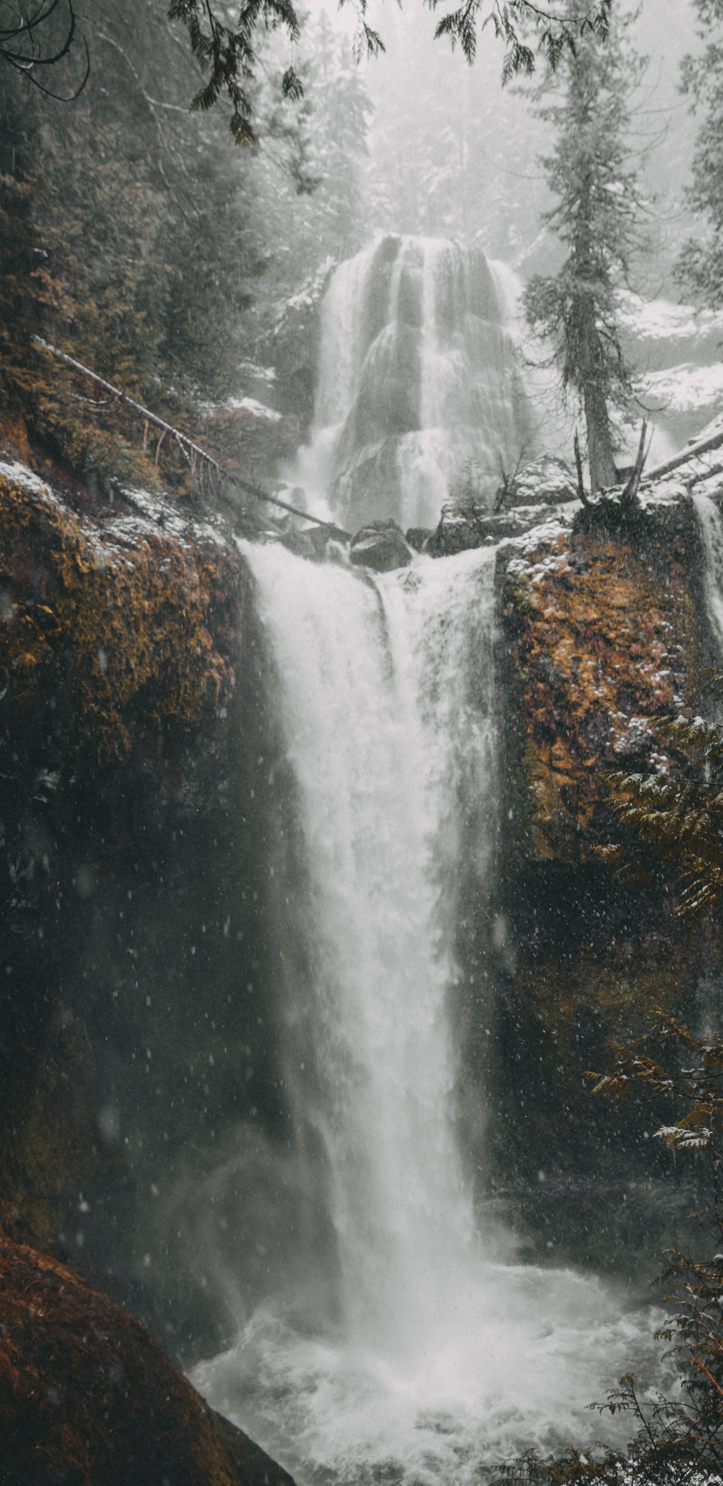 Water, Tree, Body of Water, Chute, Nature. Wallpaper in 1440x2960 Resolution