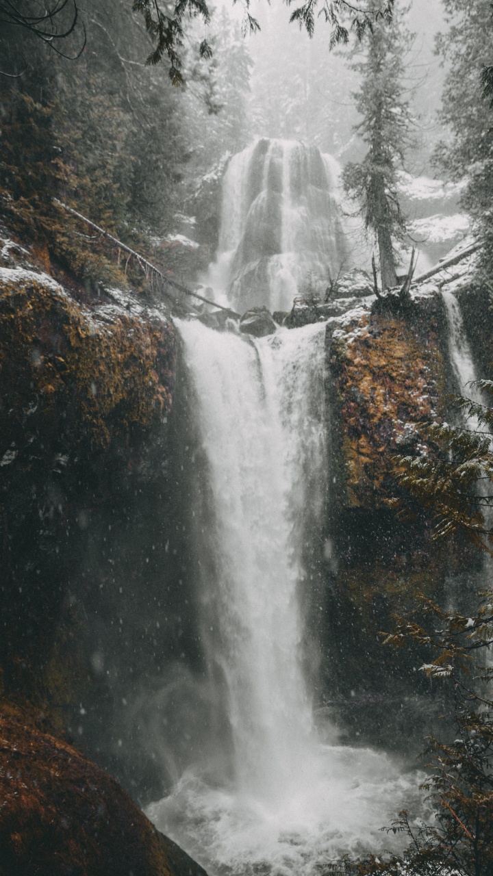 Water, Tree, Body of Water, Chute, Nature. Wallpaper in 720x1280 Resolution