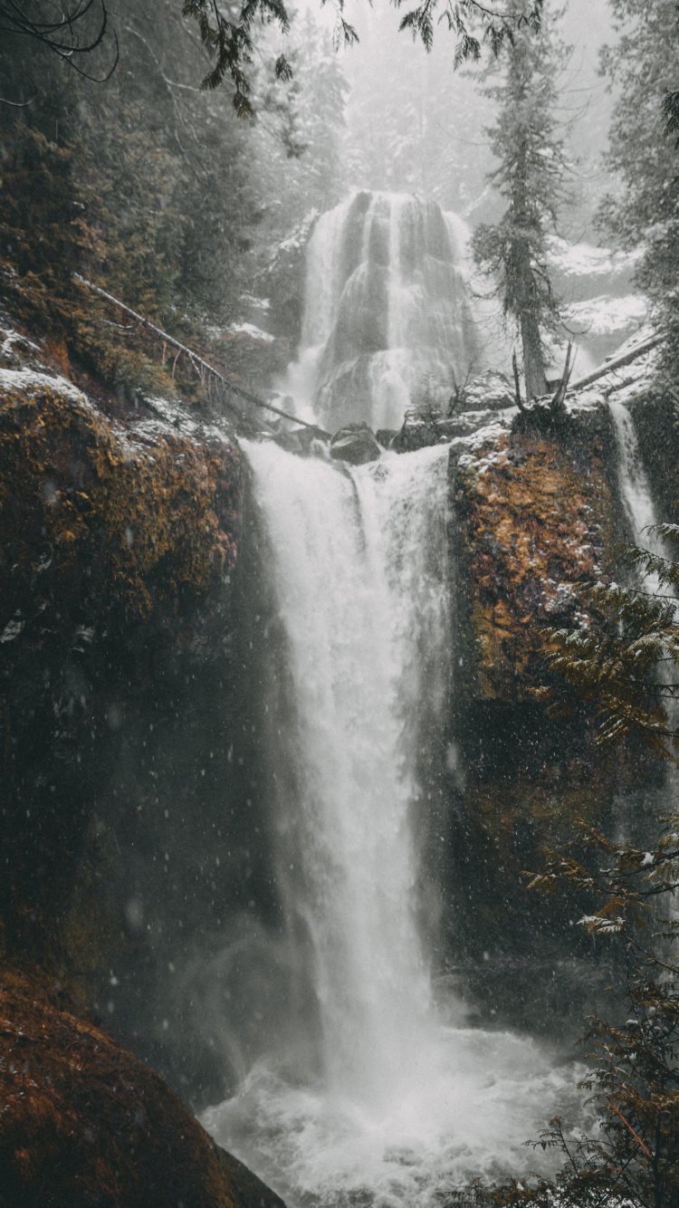Water, Tree, Body of Water, Chute, Nature. Wallpaper in 750x1334 Resolution