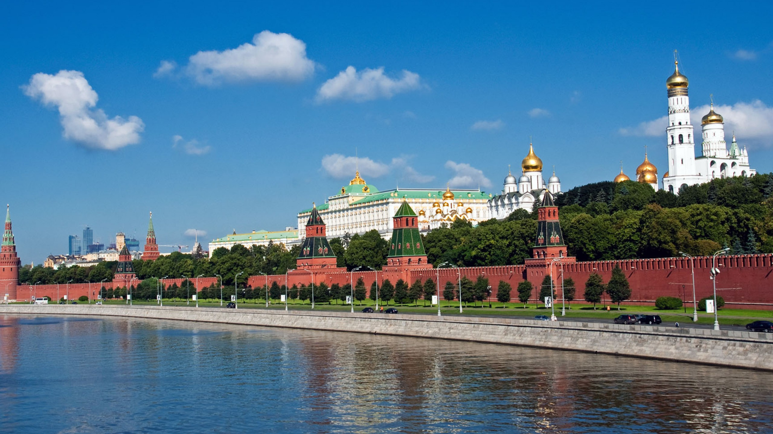 Green Trees Near Body of Water Under Blue Sky During Daytime. Wallpaper in 2560x1440 Resolution