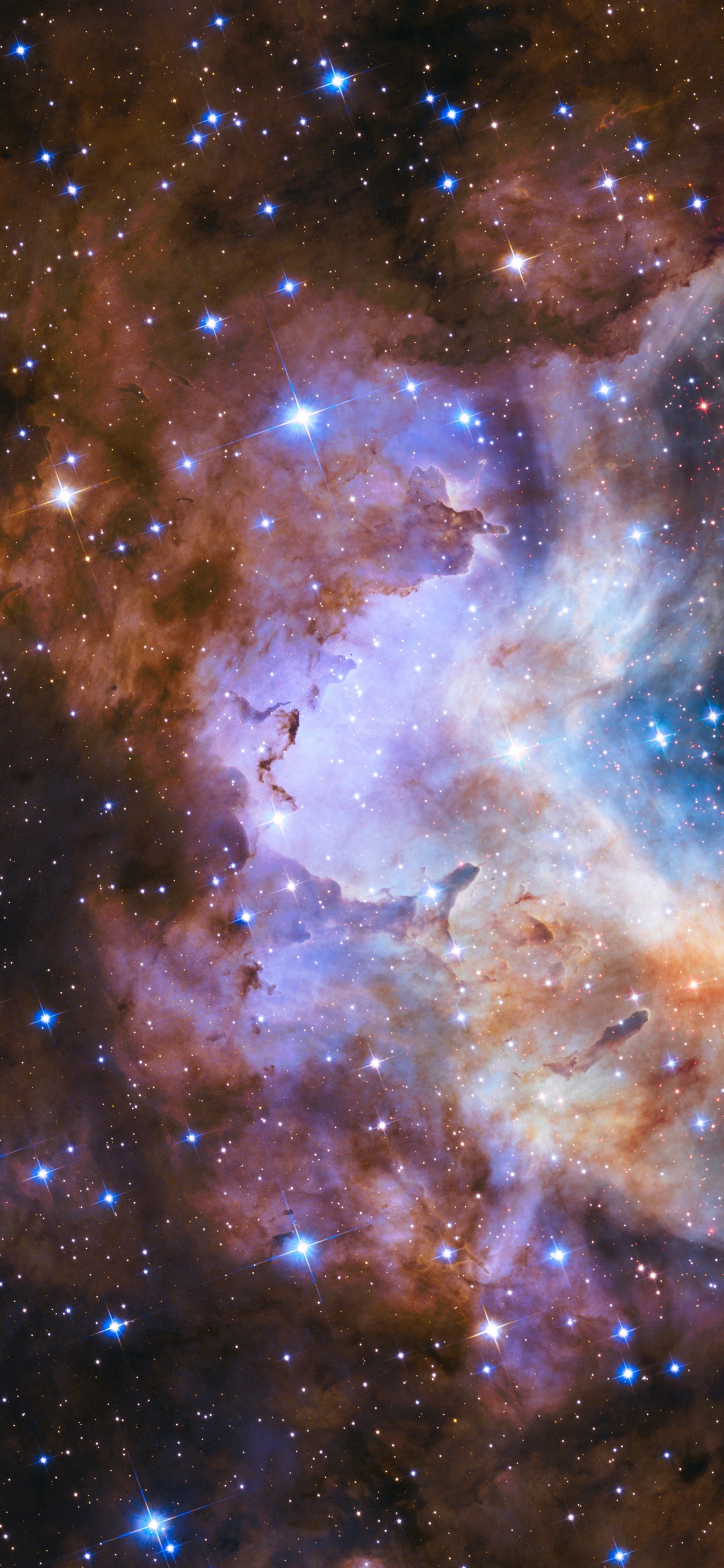 明星, 哈勃太空望远镜, 星团, 宇宙, 天文学 壁纸 1125x2436 允许