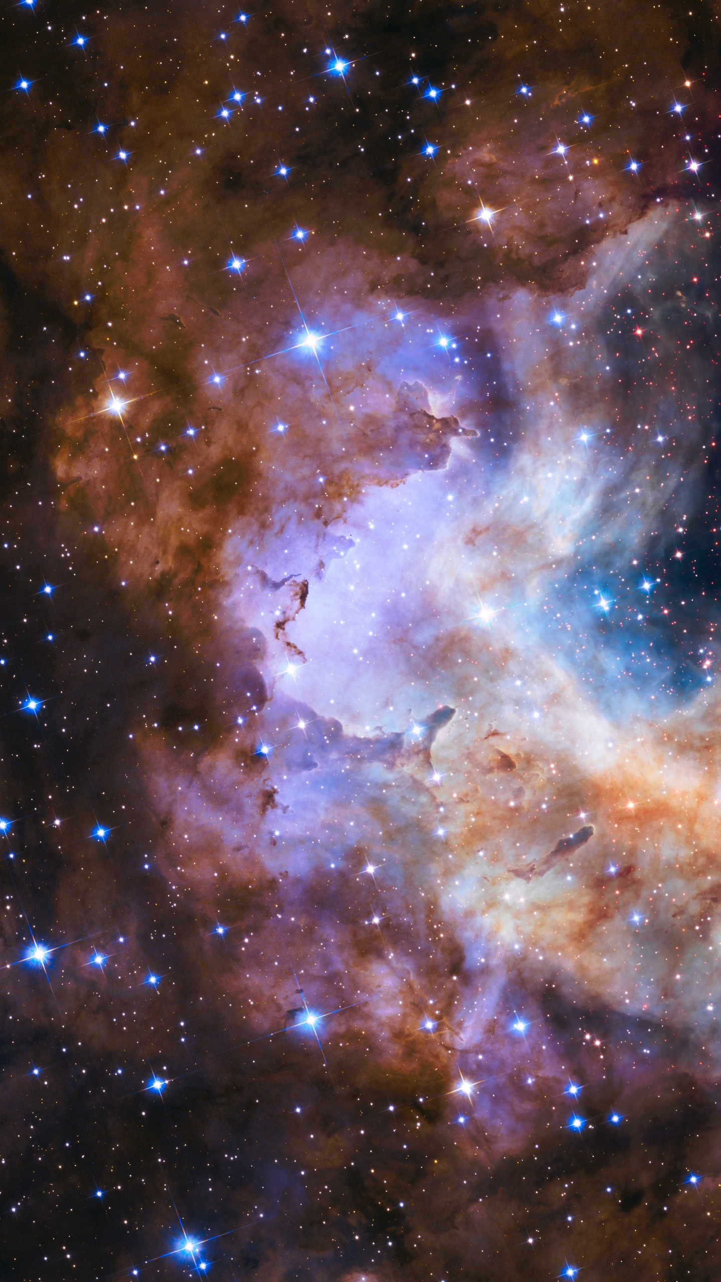 明星, 哈勃太空望远镜, 星团, 宇宙, 天文学 壁纸 1440x2560 允许