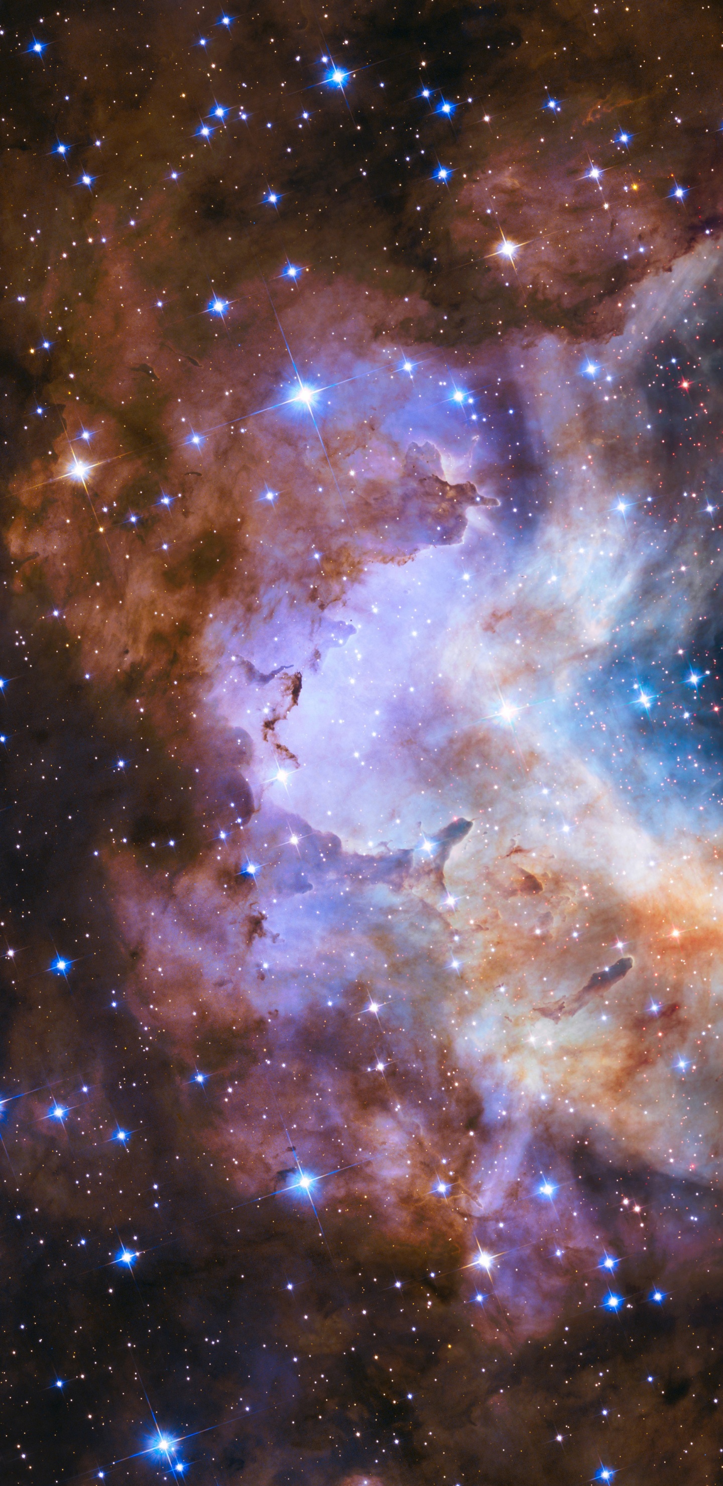 明星, 哈勃太空望远镜, 星团, 宇宙, 天文学 壁纸 1440x2960 允许