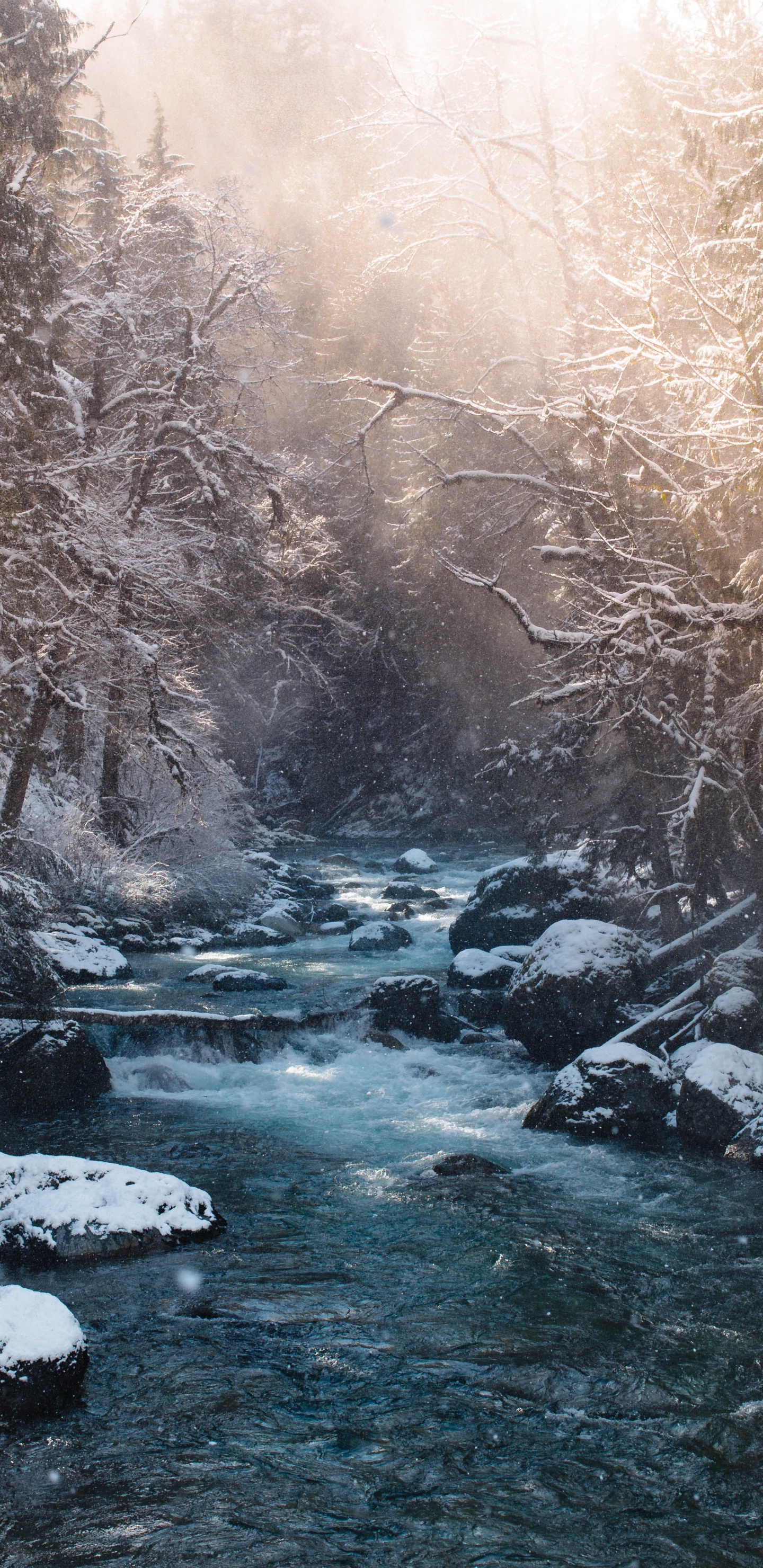 Fluss im Winter, Schnee, Winter, Fluss, Fraser River. Wallpaper in 1440x2960 Resolution