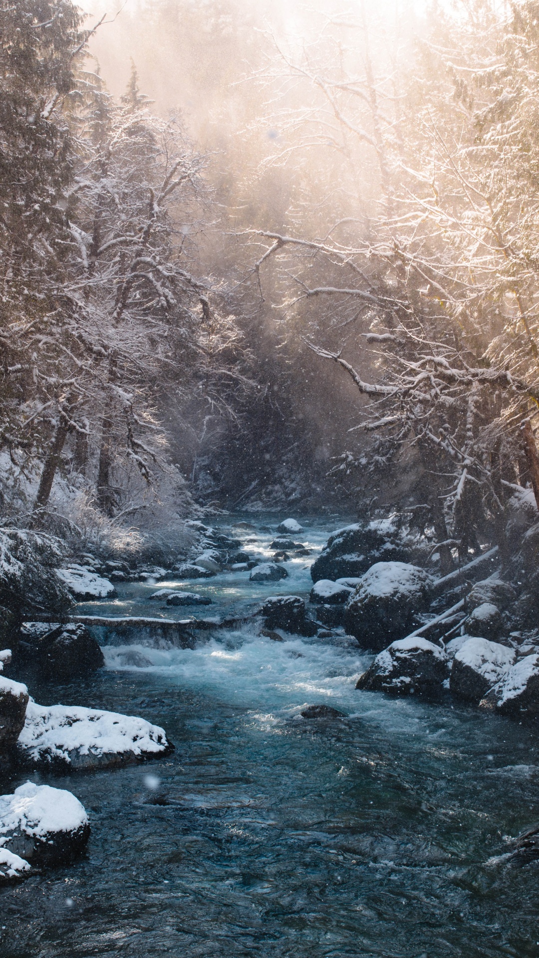 River in Winter, Snow, Winter, River, Fraser River. Wallpaper in 1080x1920 Resolution