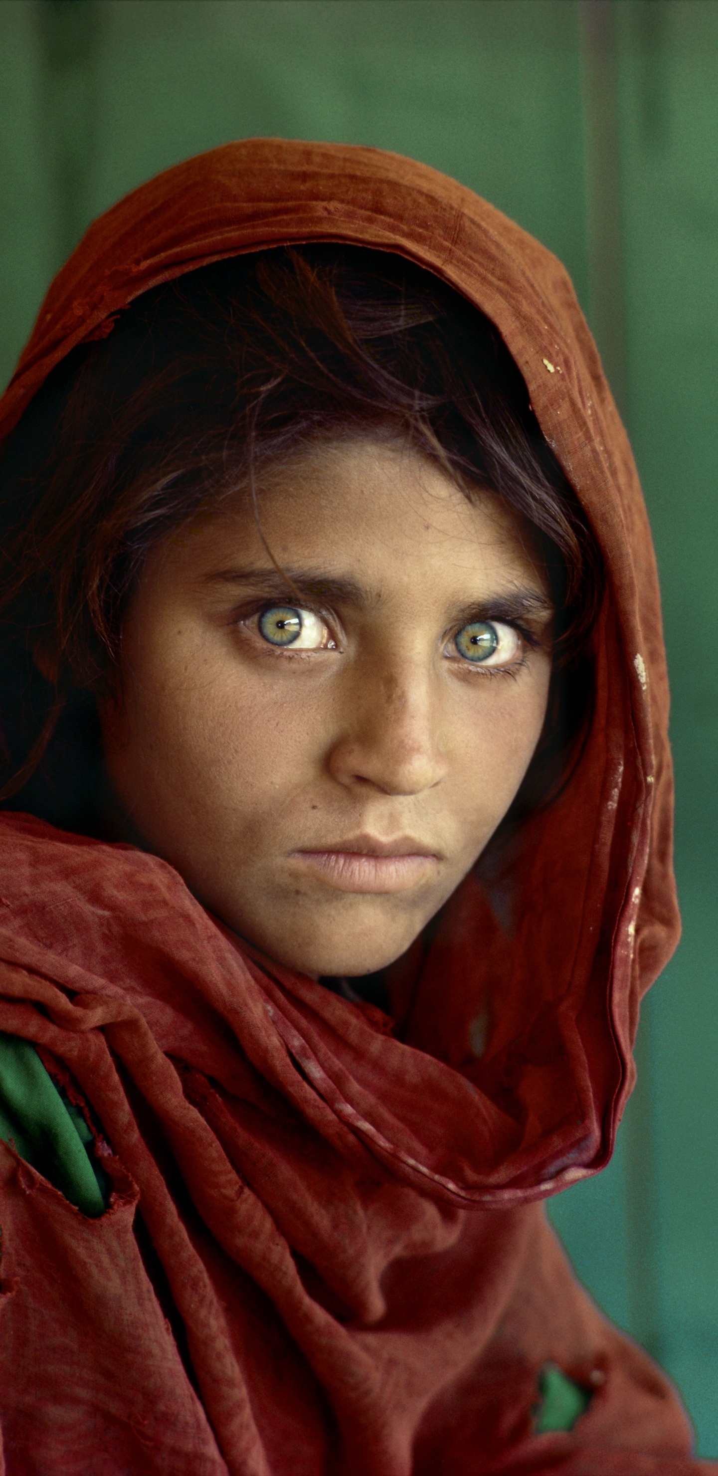 Afghan Girl, Afghanistan, National Geographic, Face, Eye. Wallpaper in 1440x2960 Resolution