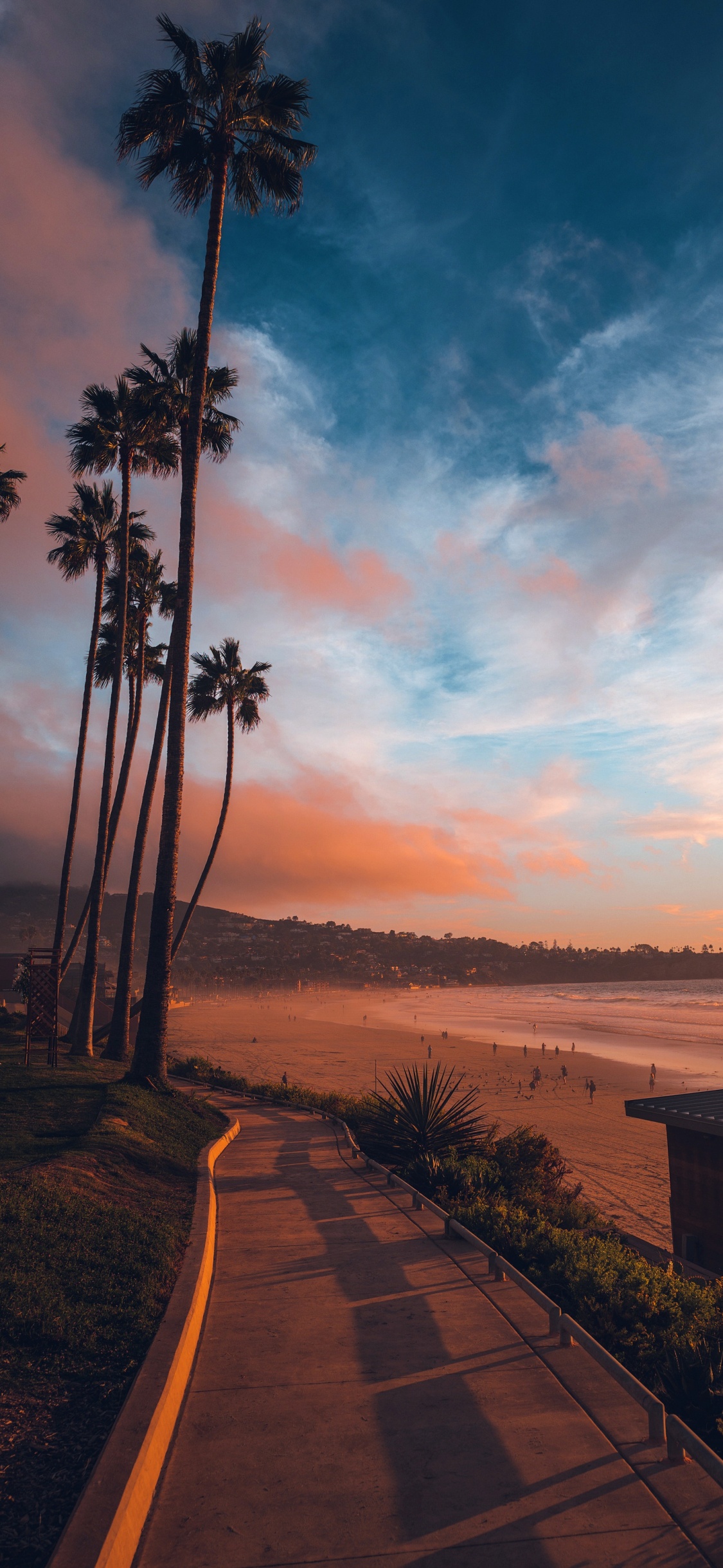 The Dictionary of Obscure Sorrows, la Jolla, Cloud, Plant, Afterglow. Wallpaper in 1125x2436 Resolution